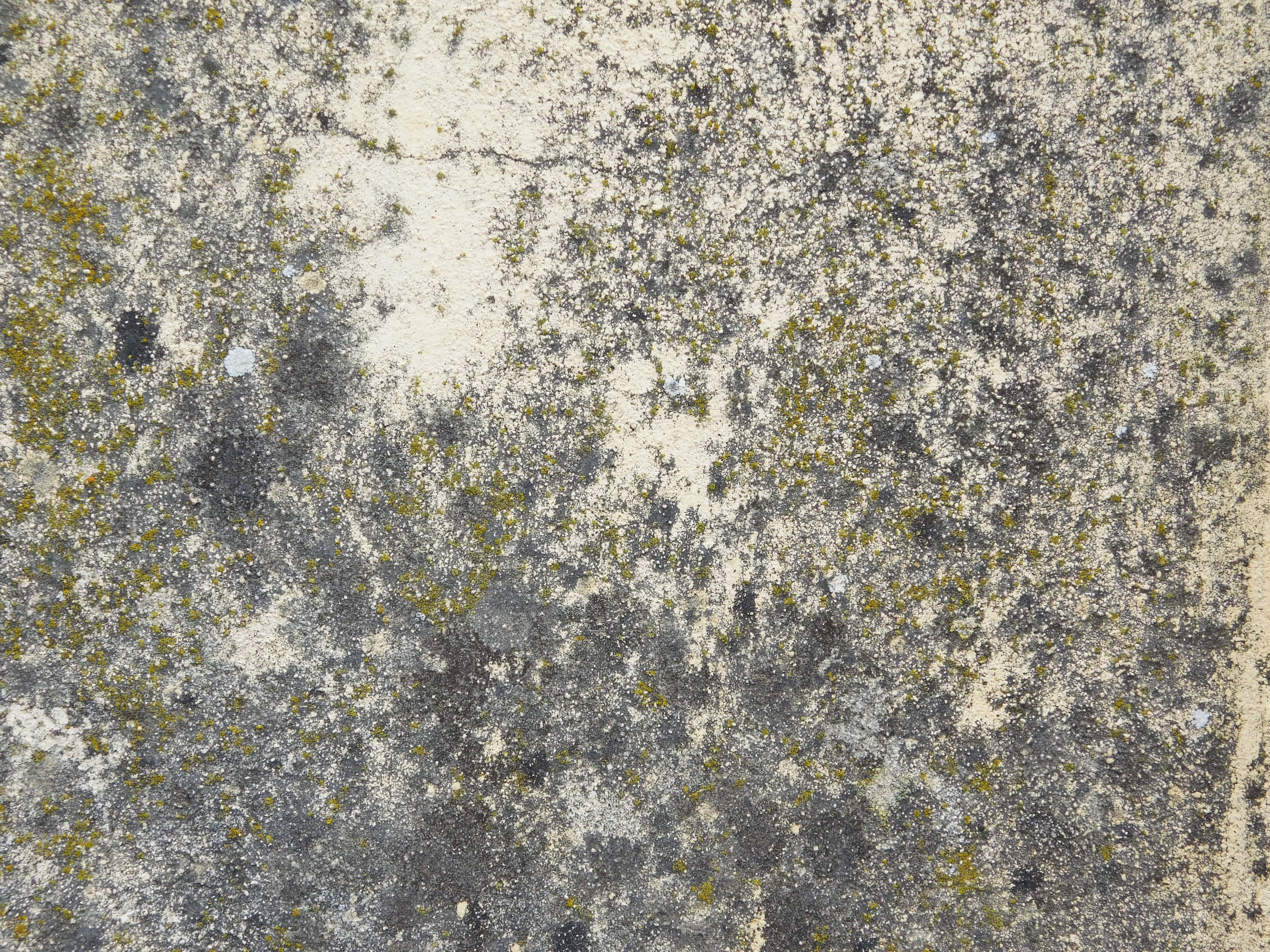 stone texture, weathered concrete surface, gray patches, 4K Desktop Wallpaper