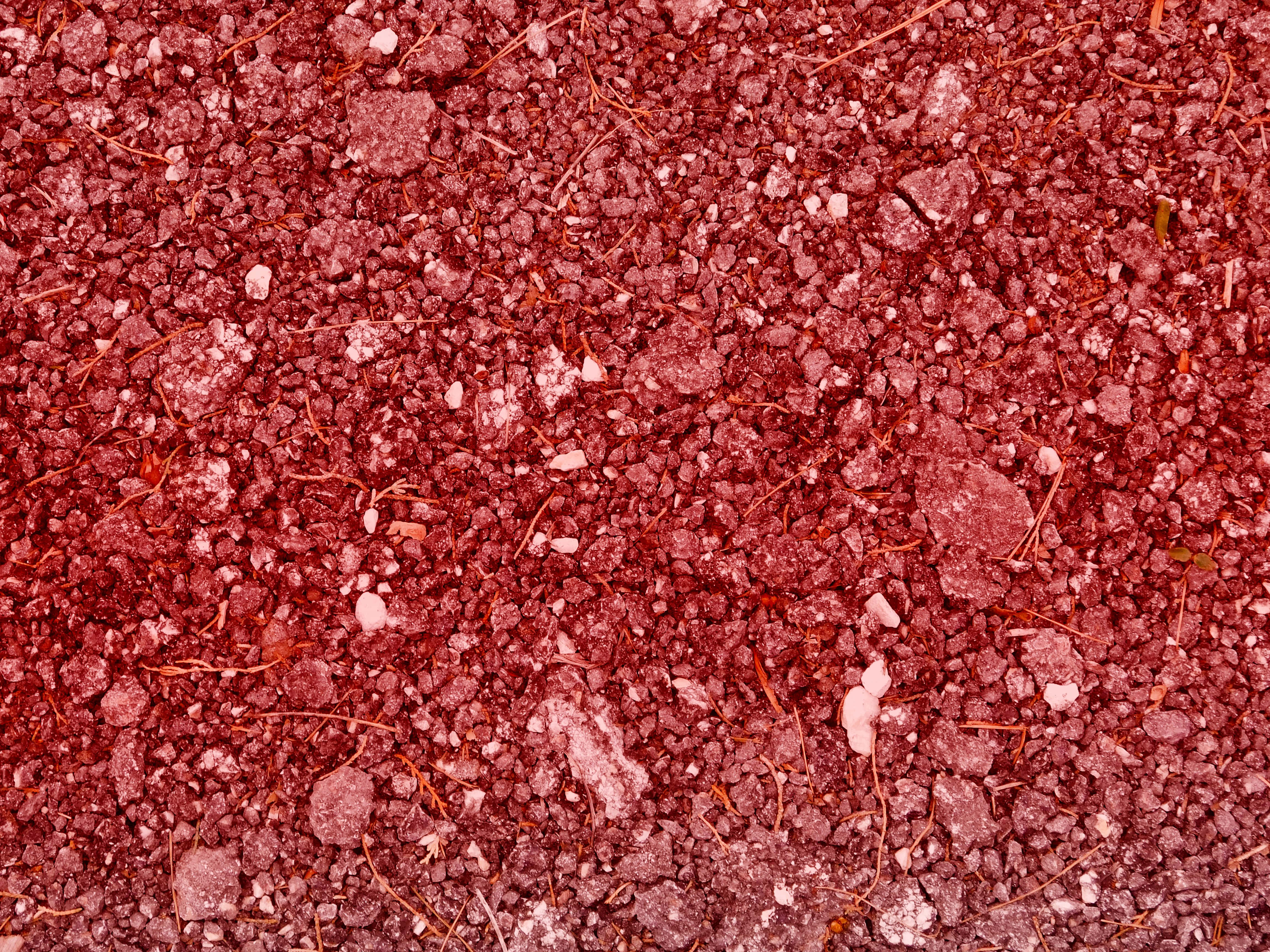 red gravel, white stones, orange roots, 4K Desktop Wallpaper