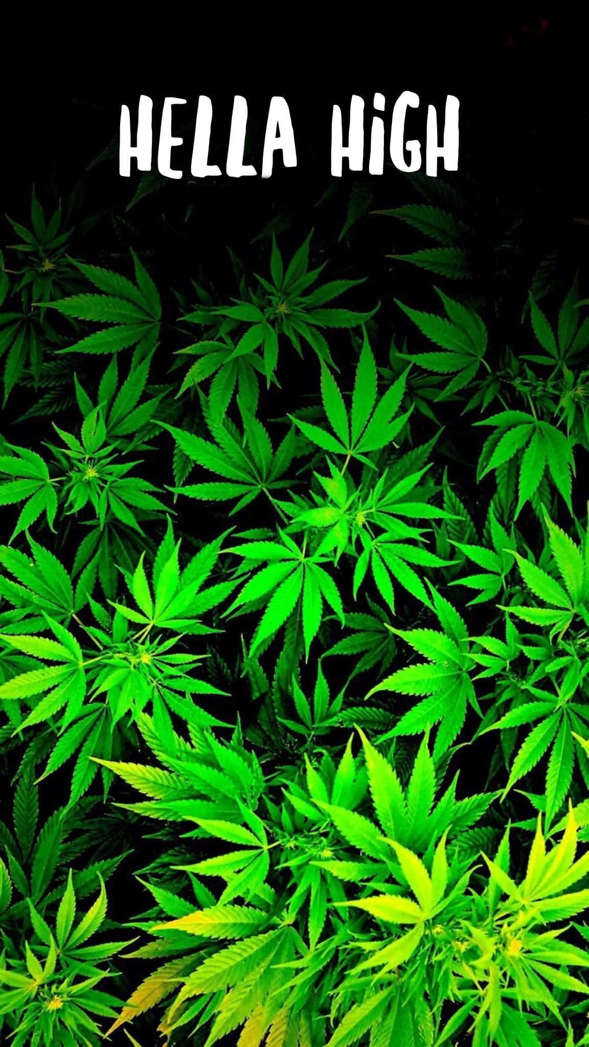 Stoner iPhone, neon green, cannabis leaves, Full HD Phone Wallpaper