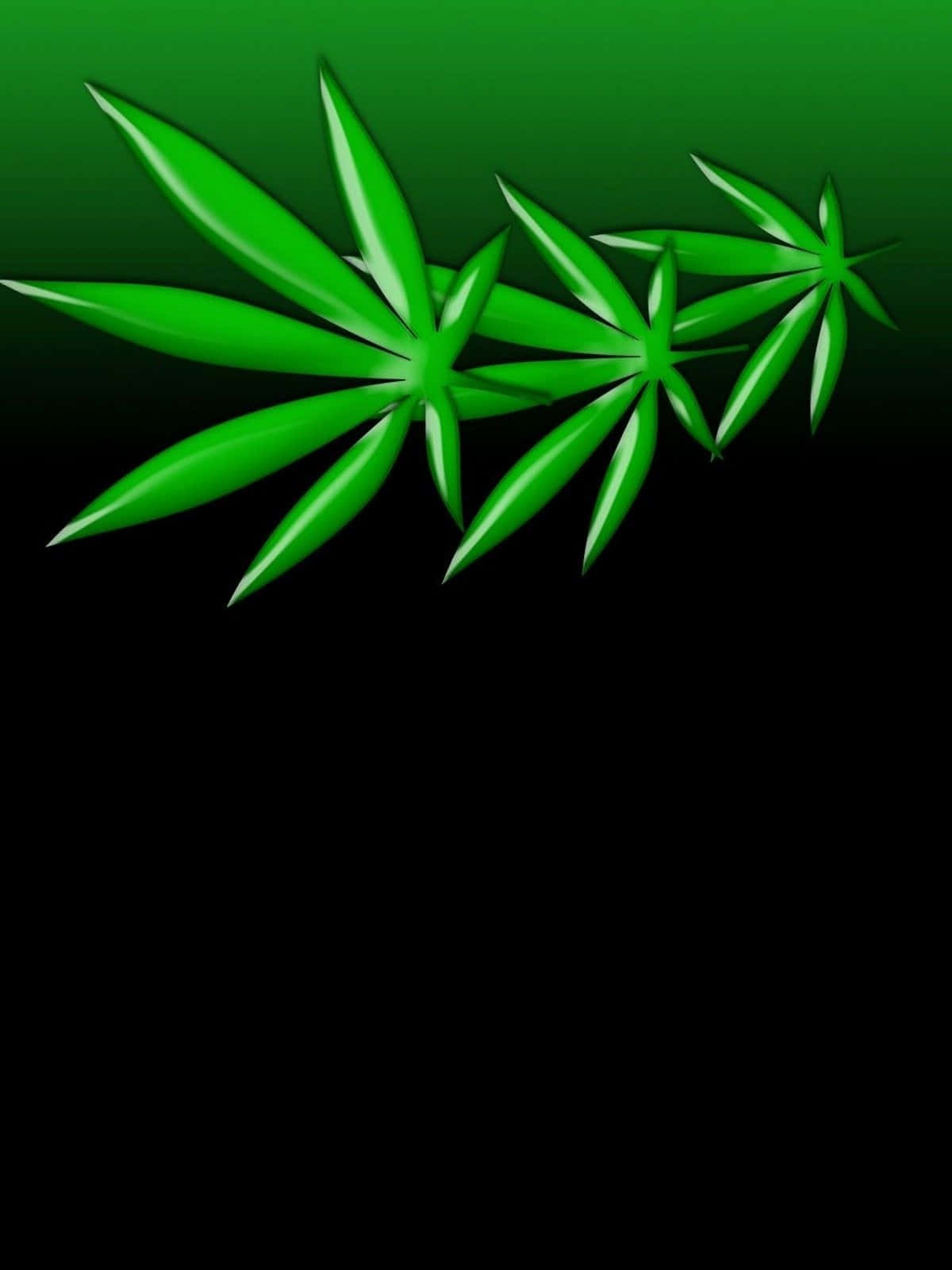 Stoner iPhone, cannabis leaves, glossy highlights, HD Phone Wallpaper