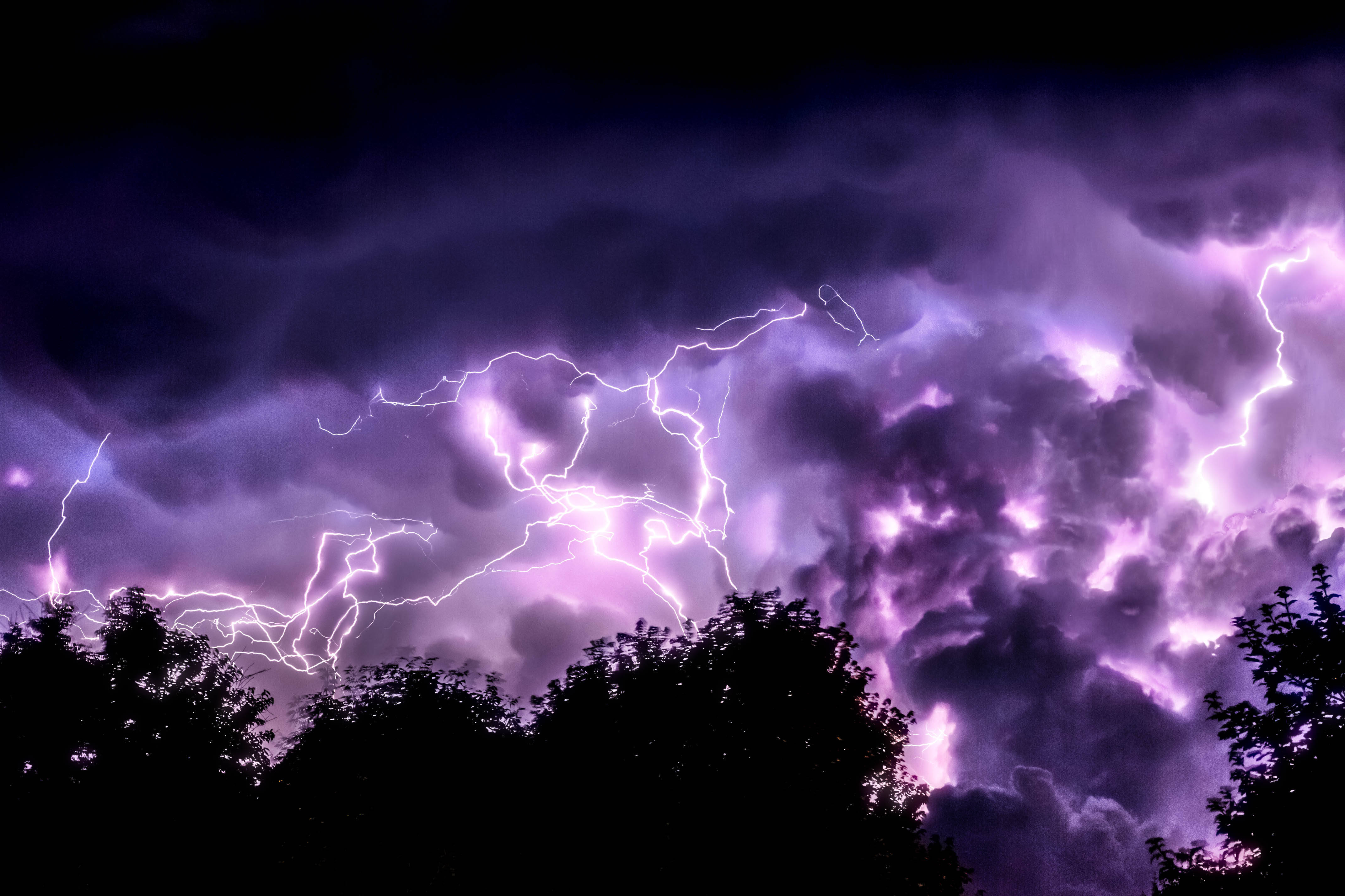 purple lightning, stormy night sky, silhouetted treetops, 4K Desktop Wallpaper