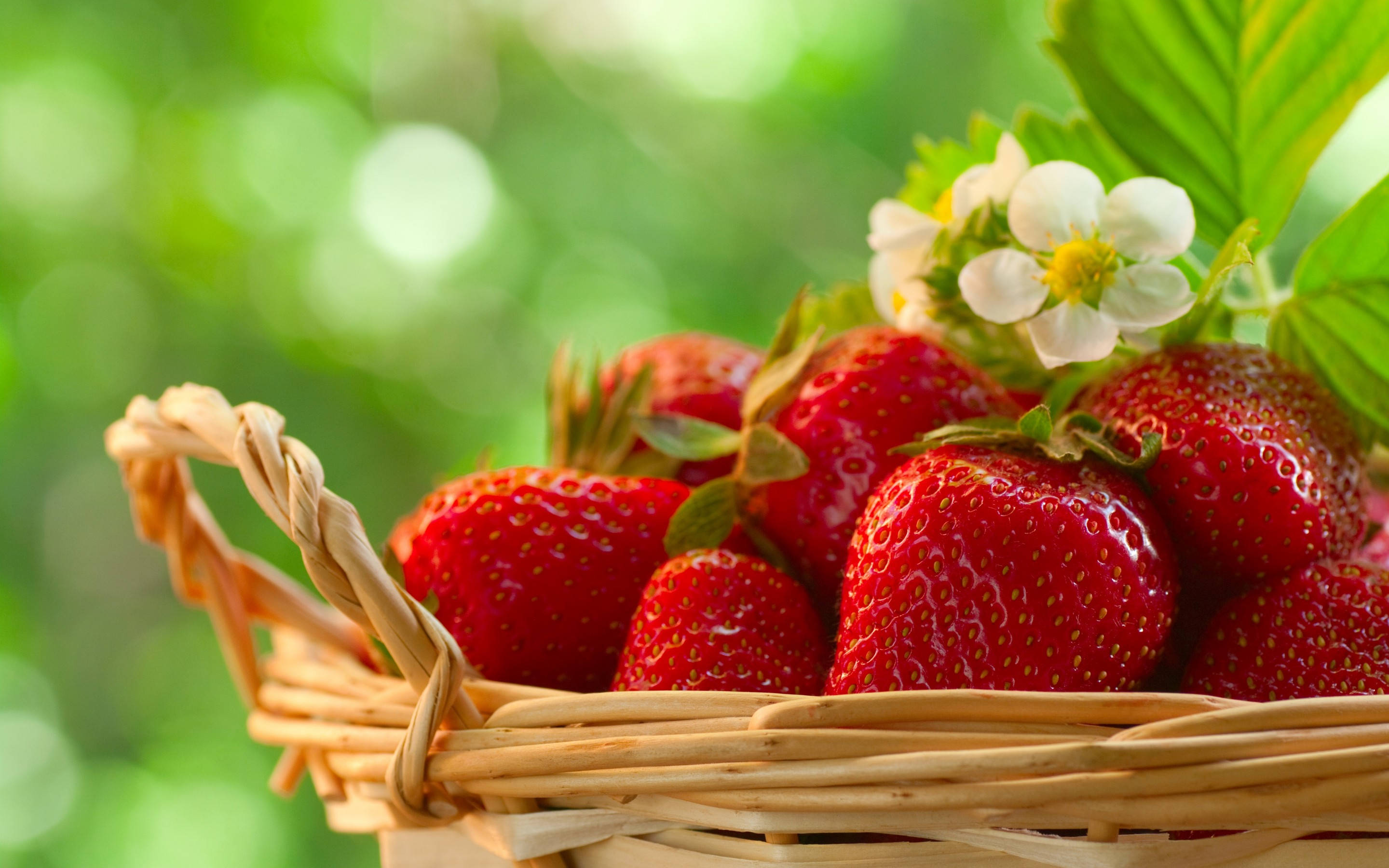 Strawberry Desktop, basket, ripe red strawberries, 2K Desktop Wallpaper