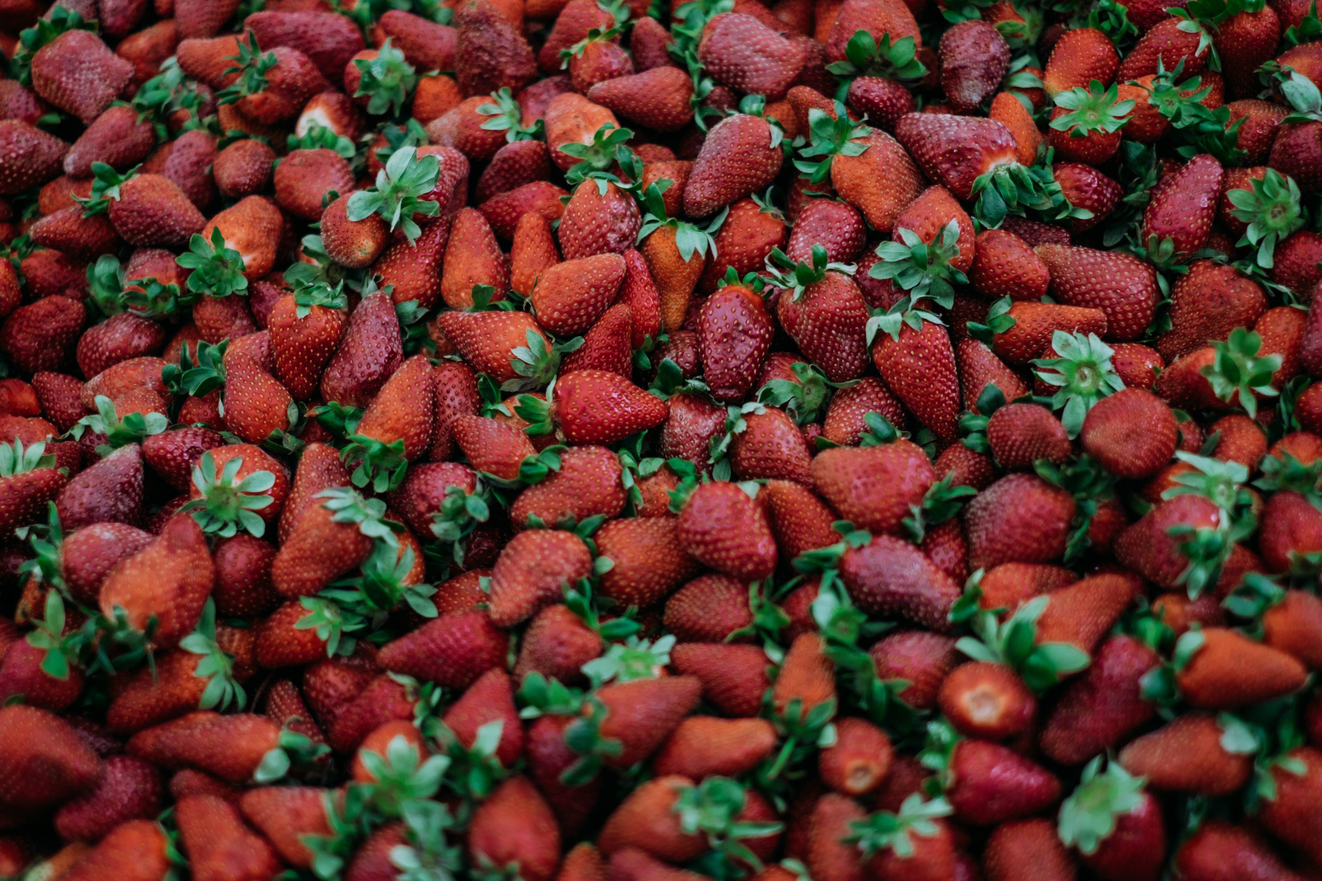 ripe red strawberries, fresh ripe strawberries, green leaves, 4K Desktop Wallpaper