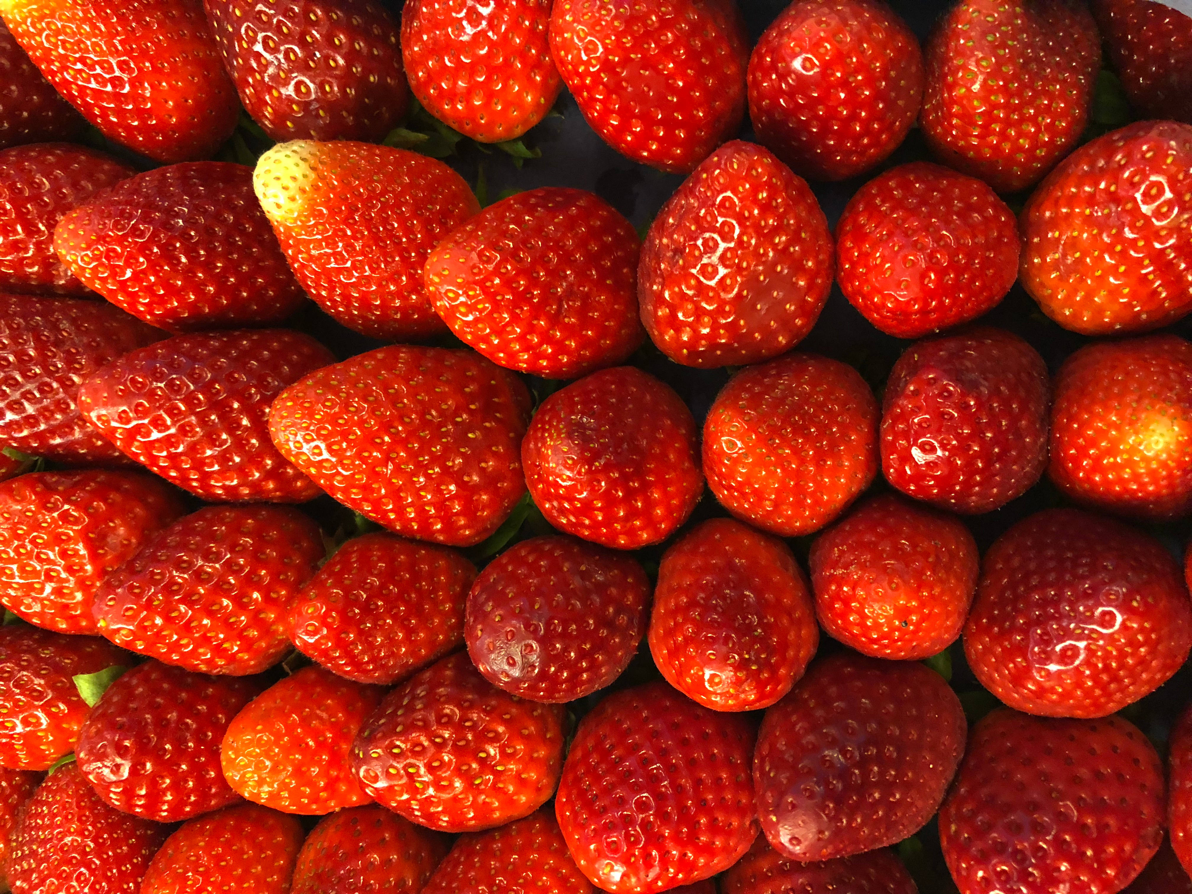 strawberry fruit, dew droplets, bright light, 4K Desktop Wallpaper