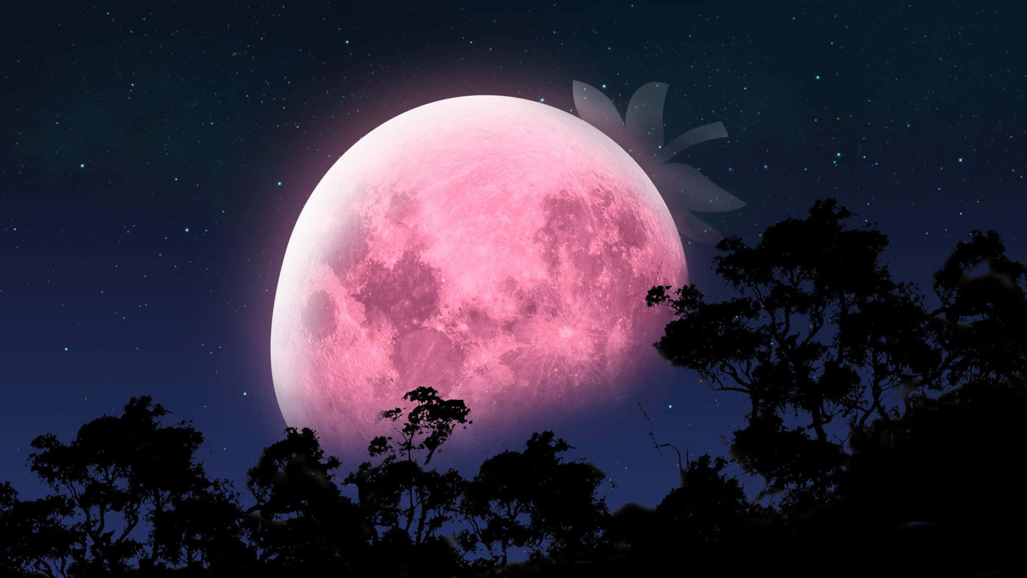 Strawberry Moon, night sky, pink moon, Full HD Desktop Wallpaper