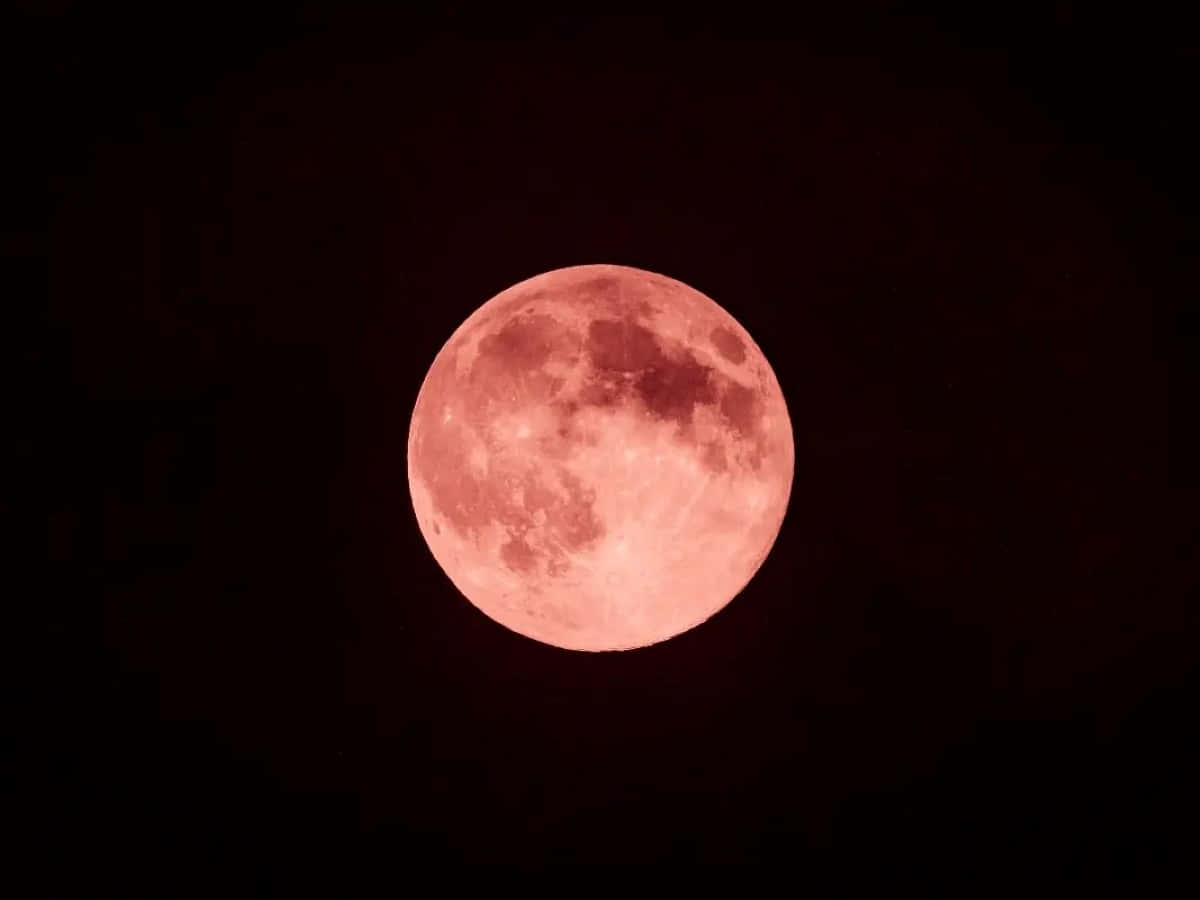 Strawberry Moon, night sky, full moon, SD Desktop Wallpaper