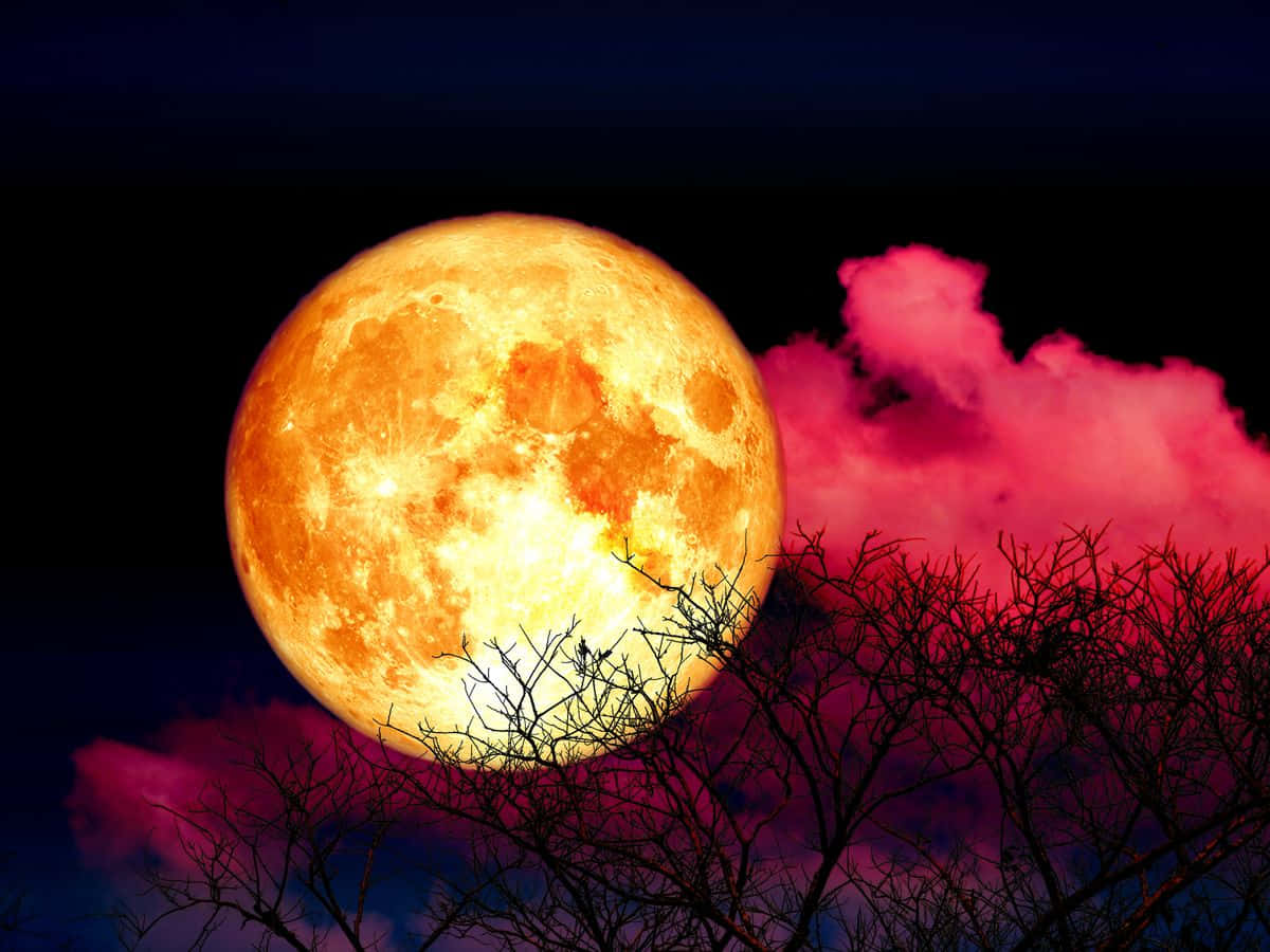 Strawberry Moon, orange moon, pink and deep blue clouds, SD Desktop Wallpaper