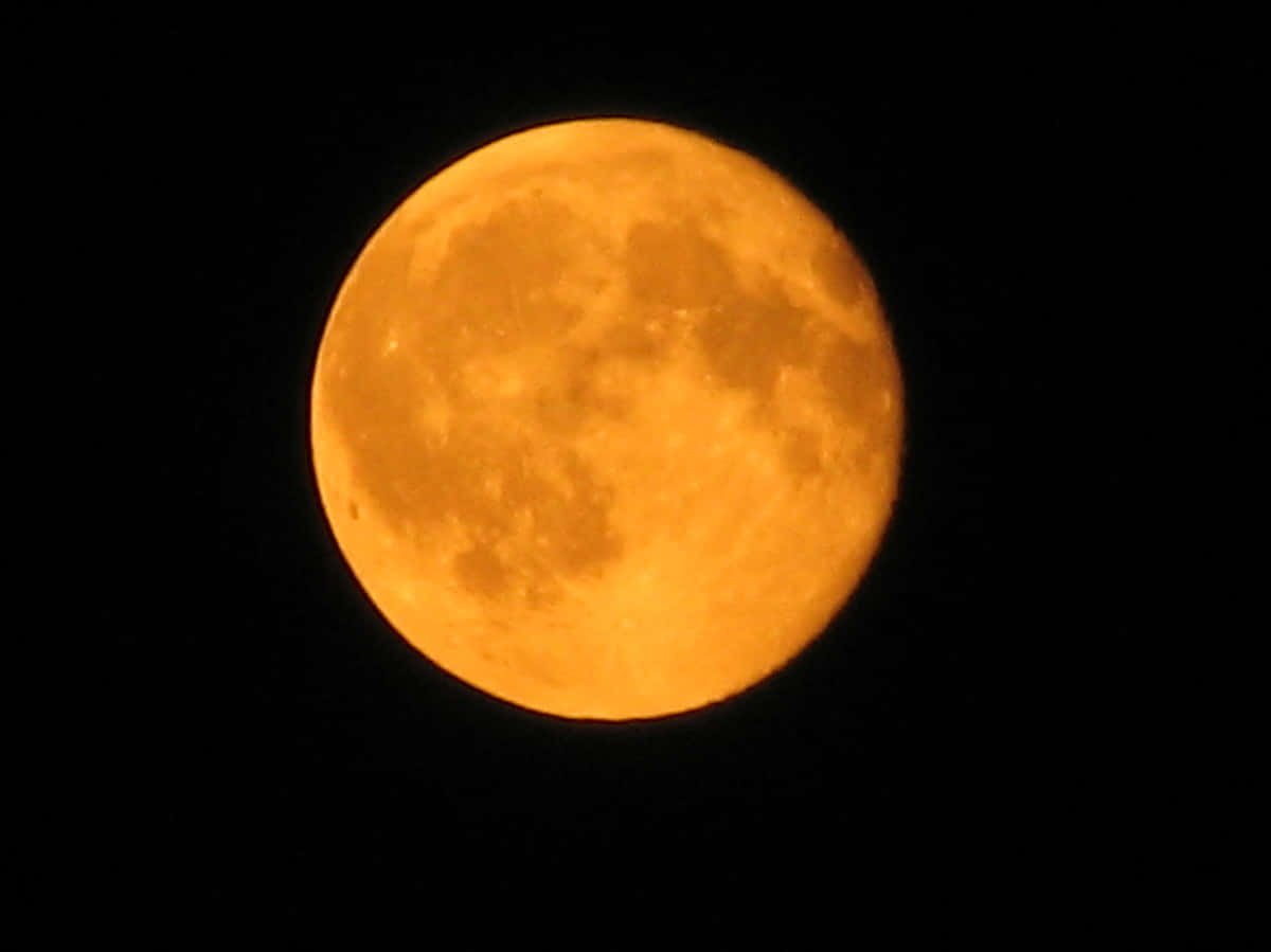 Strawberry Moon 2019, orange full moon, pitch-black night sky, SD Desktop Wallpaper