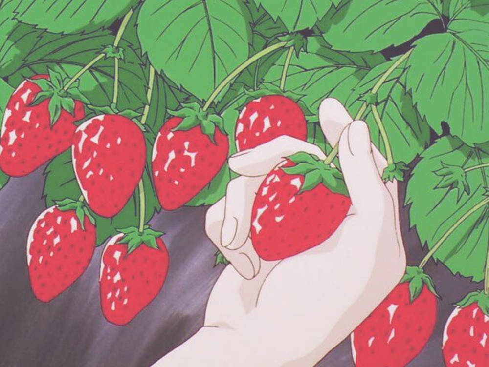 strawberry, ripe red, lush green vine, SD Desktop Wallpaper