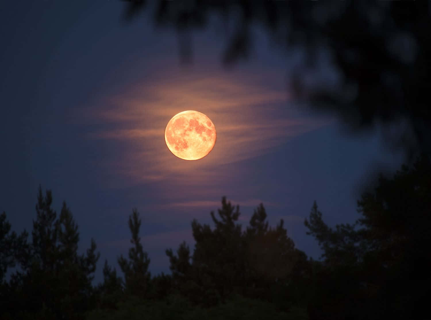 Strawberry Moon, orange full moon, wispy clouds, HD Desktop Wallpaper