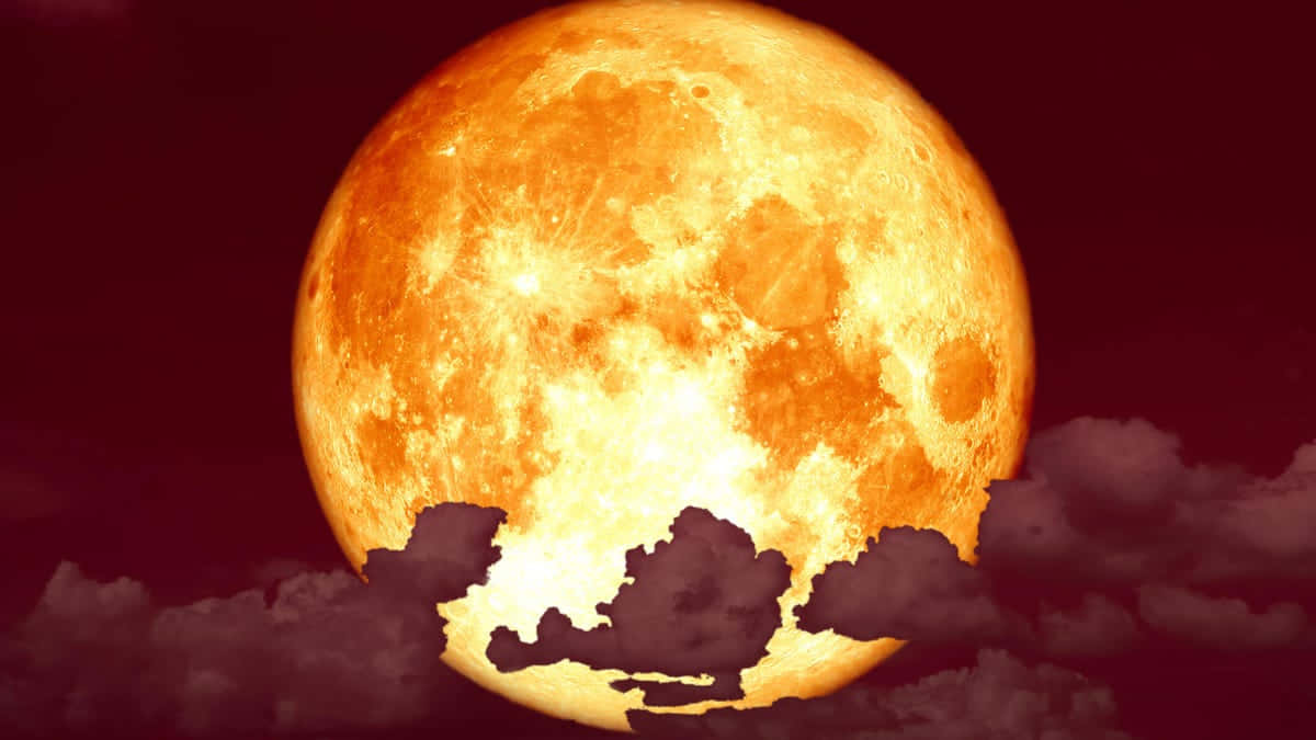 Strawberry Moon, night sky, glowing orange moon, SD Desktop Wallpaper