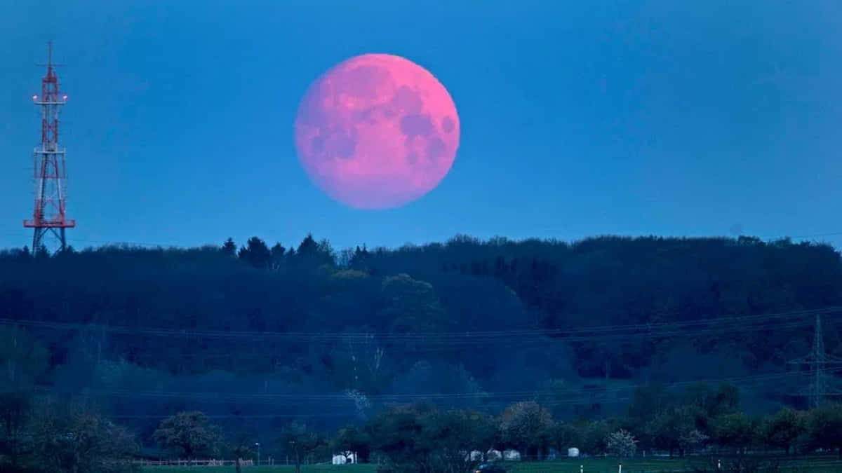 Strawberry Moon, pink full moon, dark forested hill, SD Desktop Wallpaper