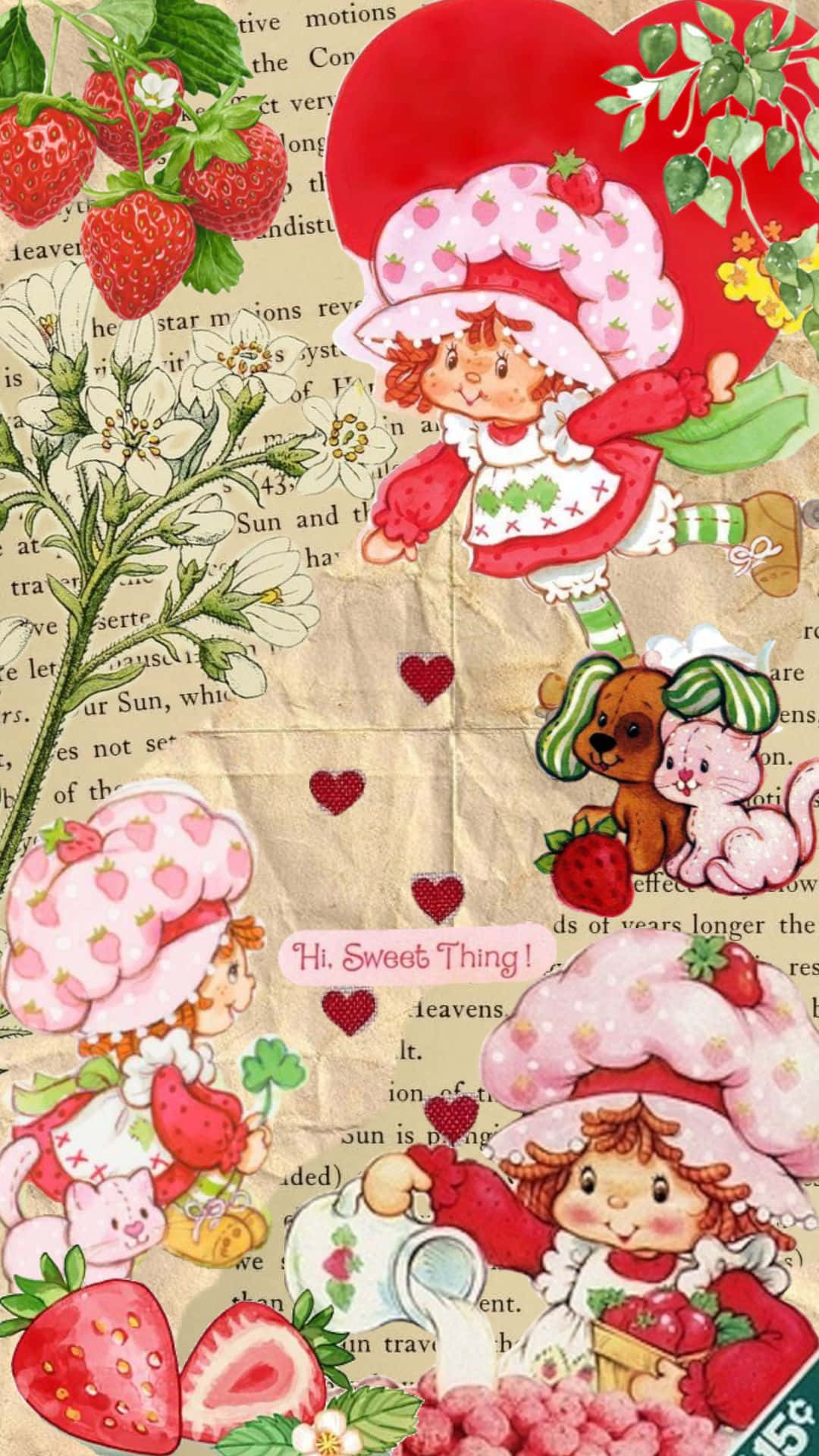 Strawberry Shortcake, vintage-style, cartoon strawberry characters, Full HD Phone Wallpaper