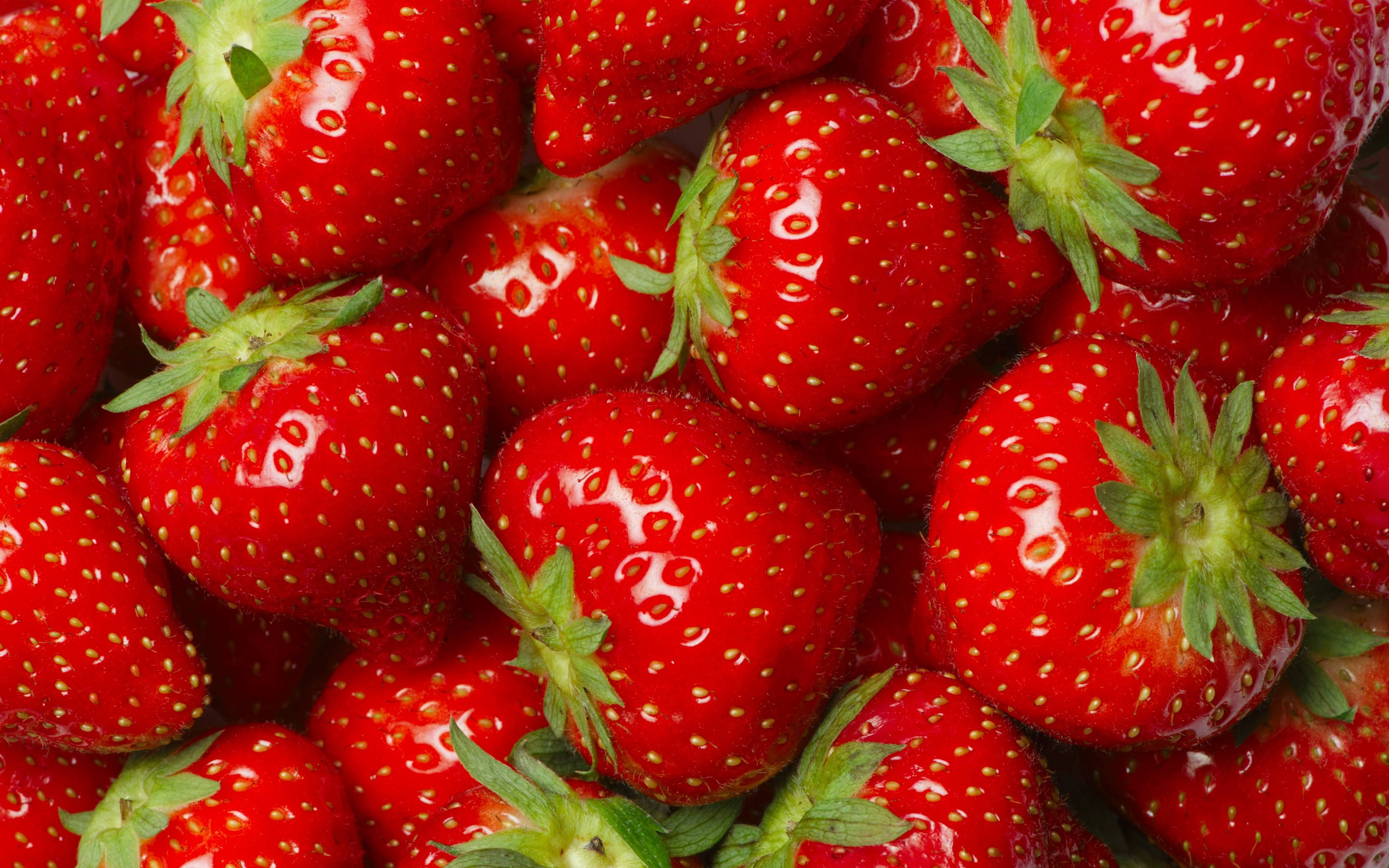 bright red, strawberry fruits, dewdrops, 2K Desktop Wallpaper