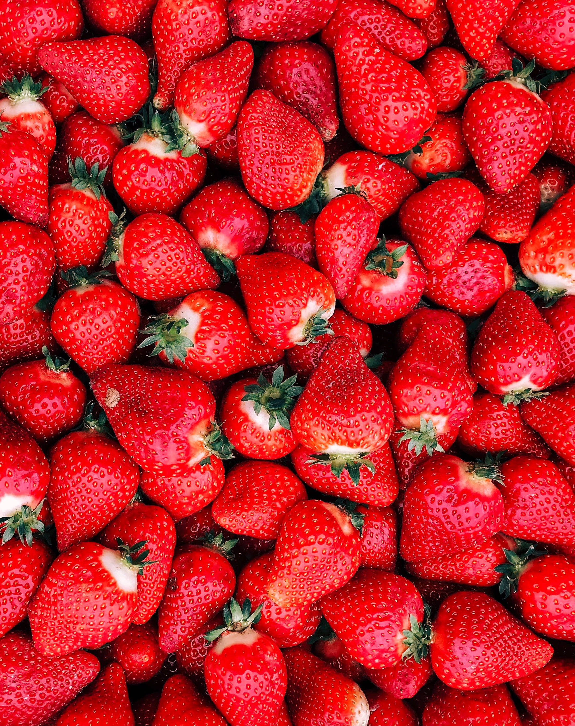 red strawberry fruit, plump ripe strawberries, green tops, 2K Phone Wallpaper
