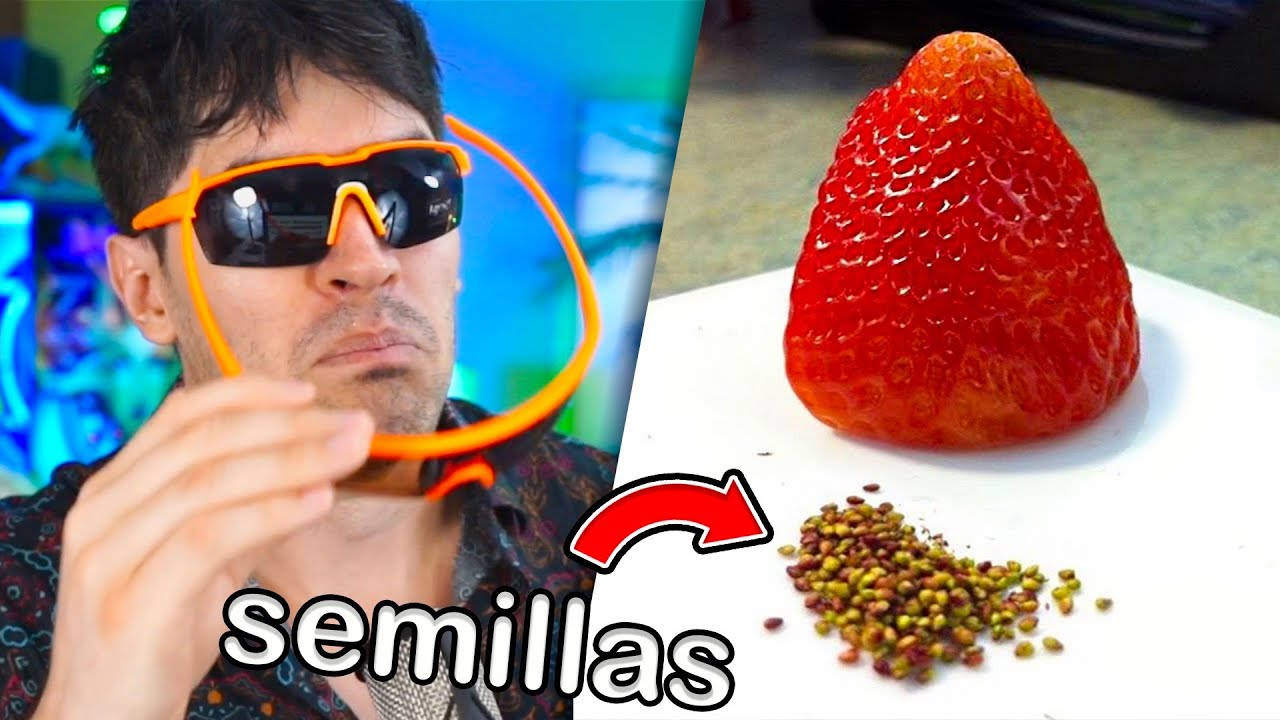 JuegaGerman, strawberry, orange sunglasses, HD Desktop Wallpaper