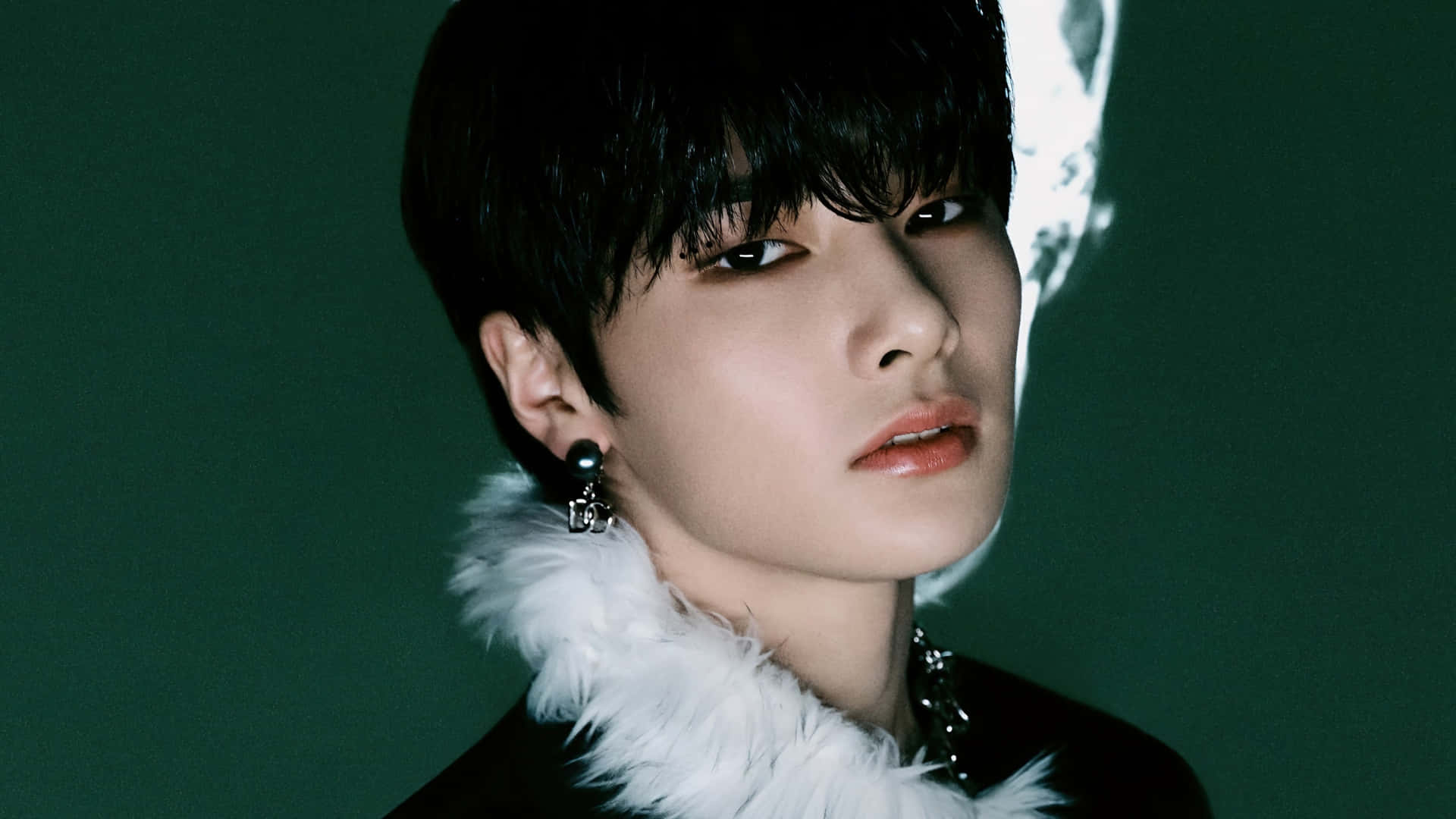Stray Kids, short black hair, white feather collar, Full HD Desktop Wallpaper