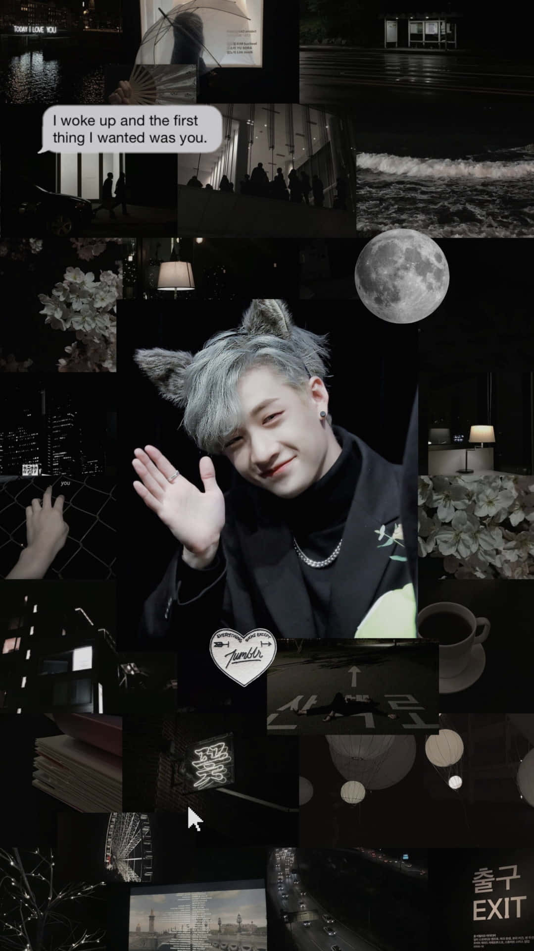 Stray Kids, moonlit collage, cat ears, Full HD Phone Wallpaper