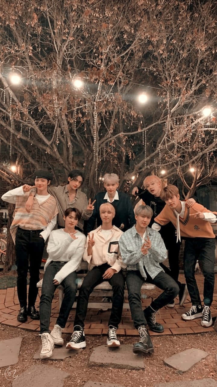 Stray Kids, string lights, bare winter trees, HD Phone Wallpaper