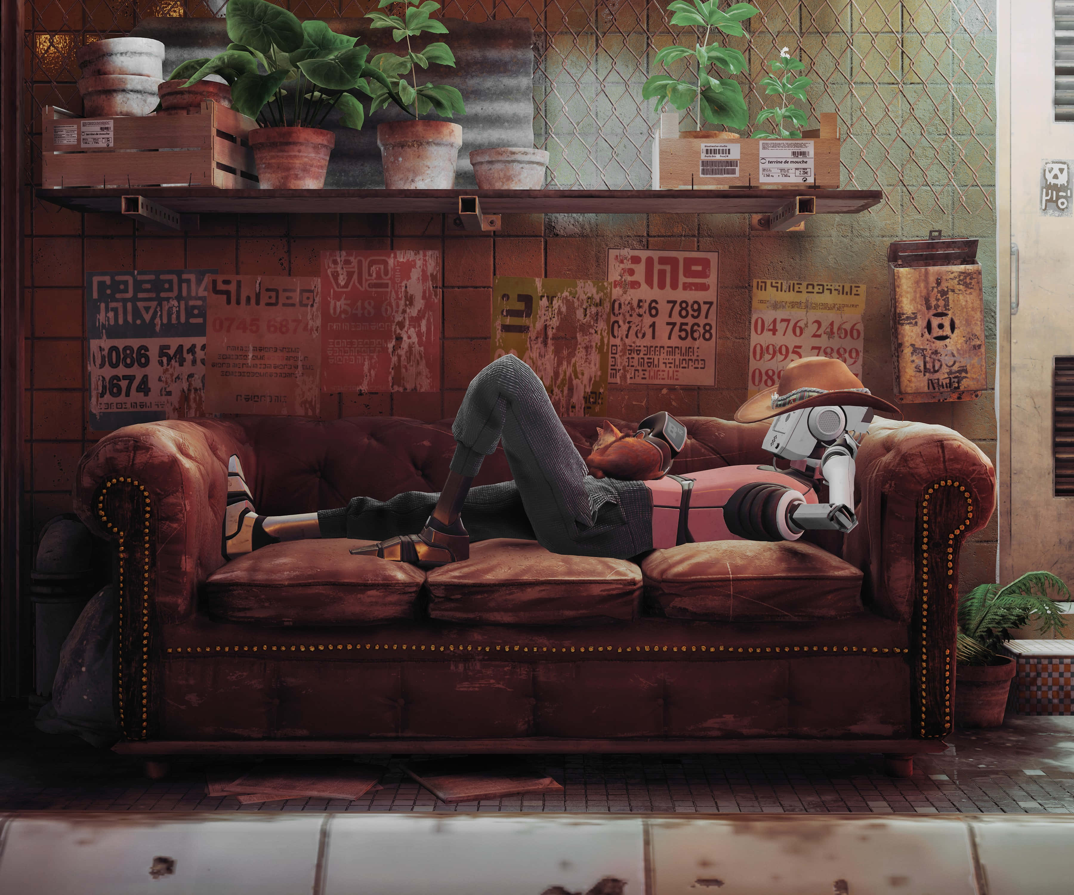 Stray, cowboy hat, worn leather couch, 2K Desktop Wallpaper