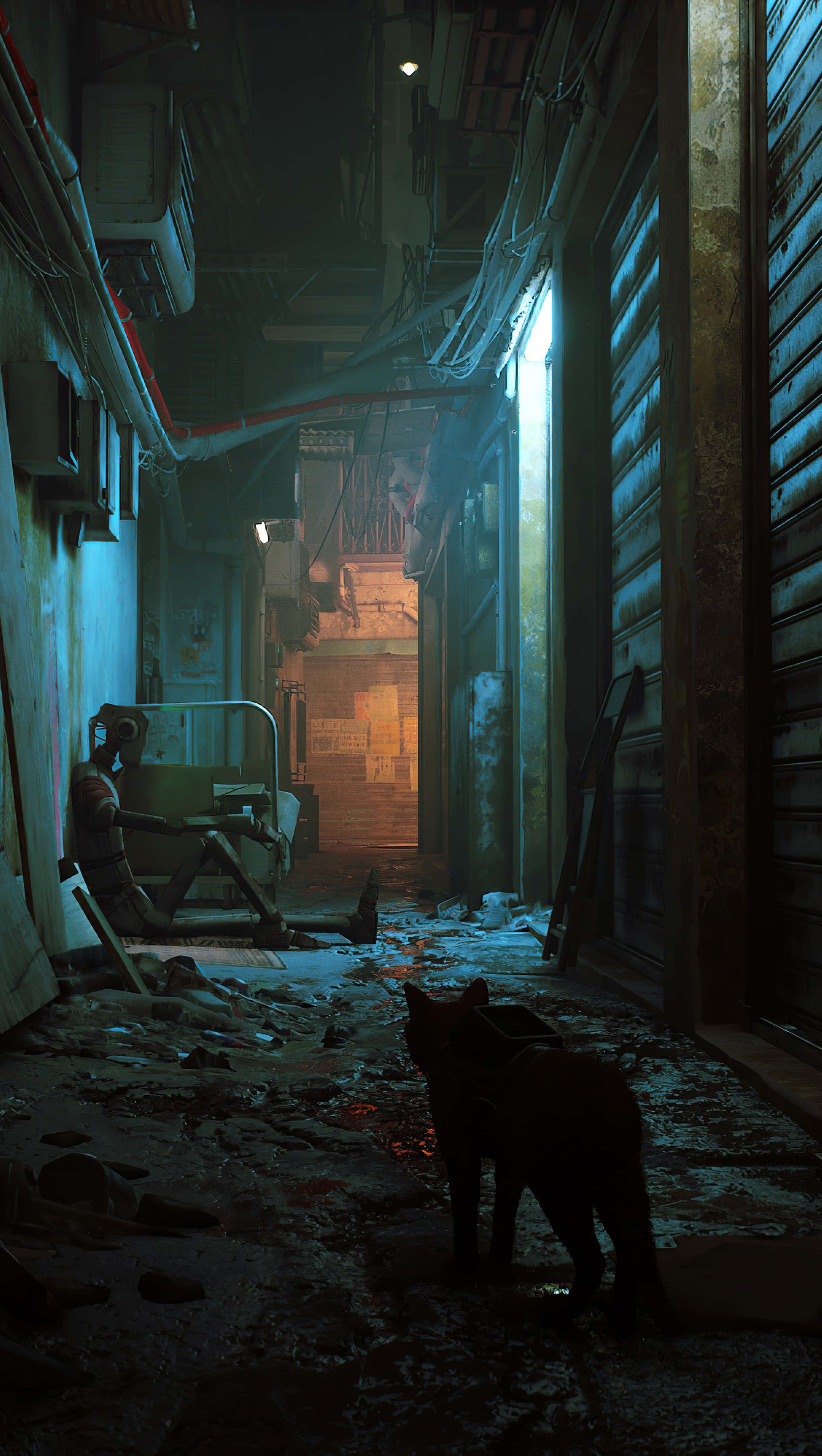 Stray, cat, urban alley, 4K Phone Wallpaper
