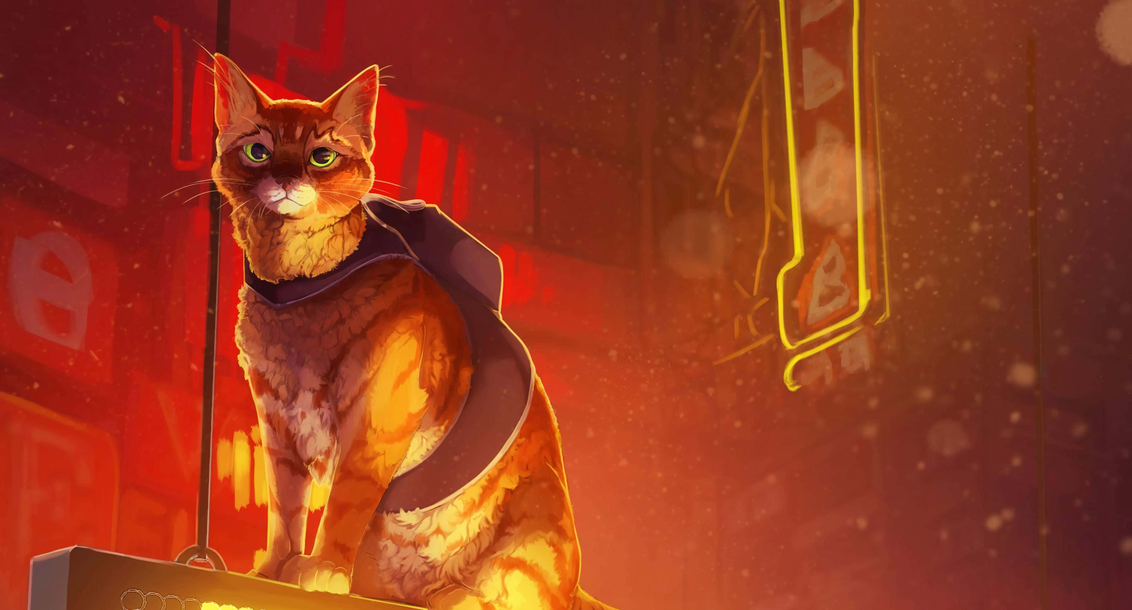 Stray, ginger cat, dark cape, 4K Desktop Wallpaper