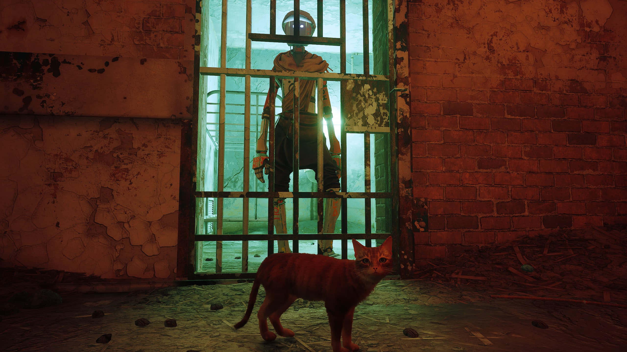 Stray, ginger cat, humanoid figure in a helmet, 2K Desktop Wallpaper