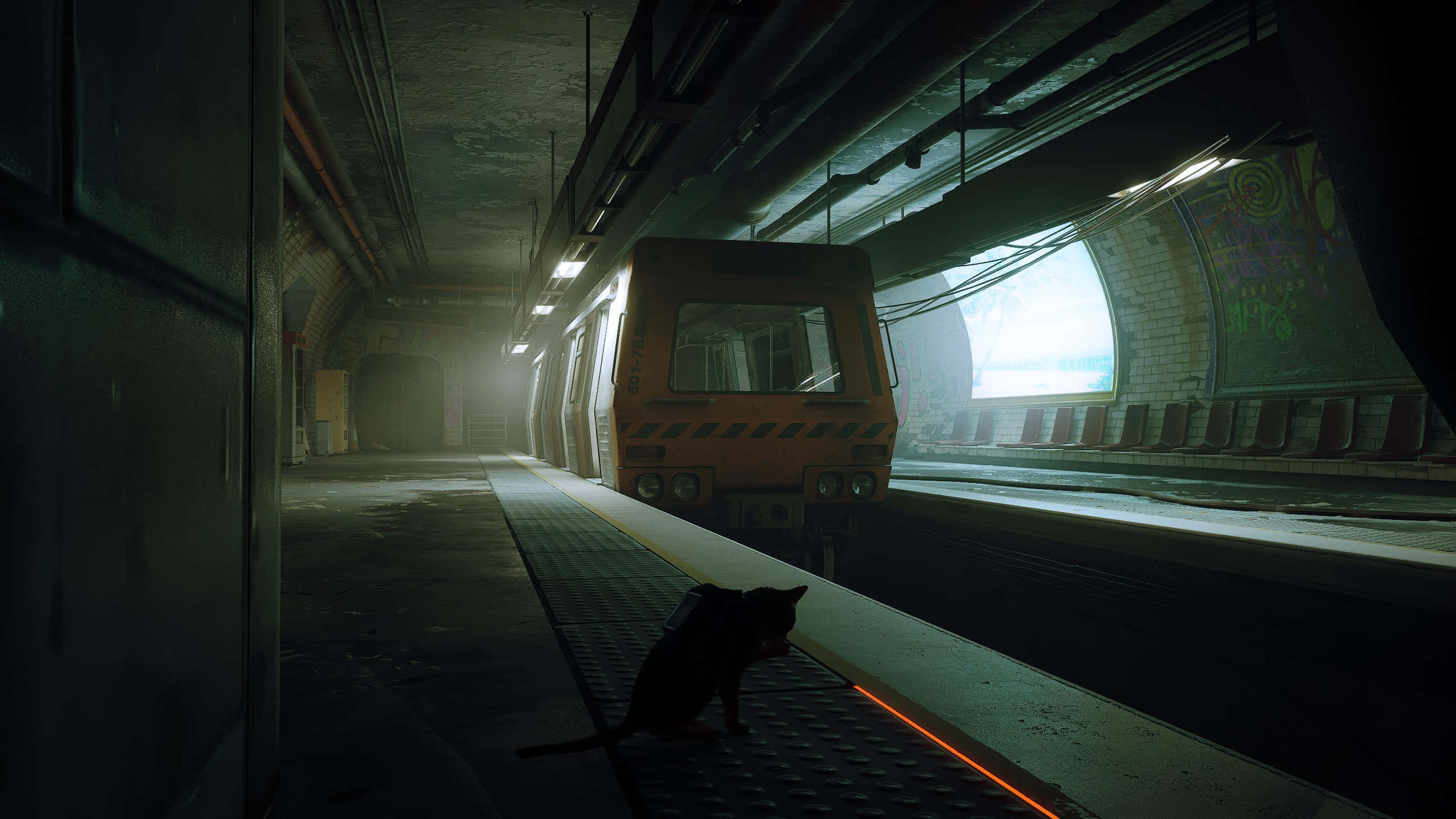 Stray, black cat, subway platform, 2K Desktop Wallpaper