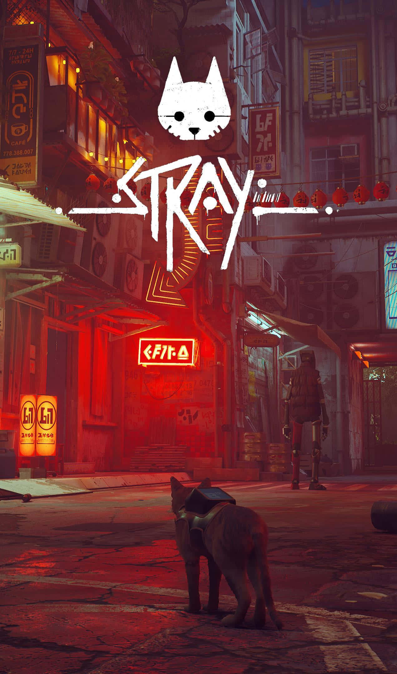 Stray, cat, backpack, Full HD Phone Wallpaper