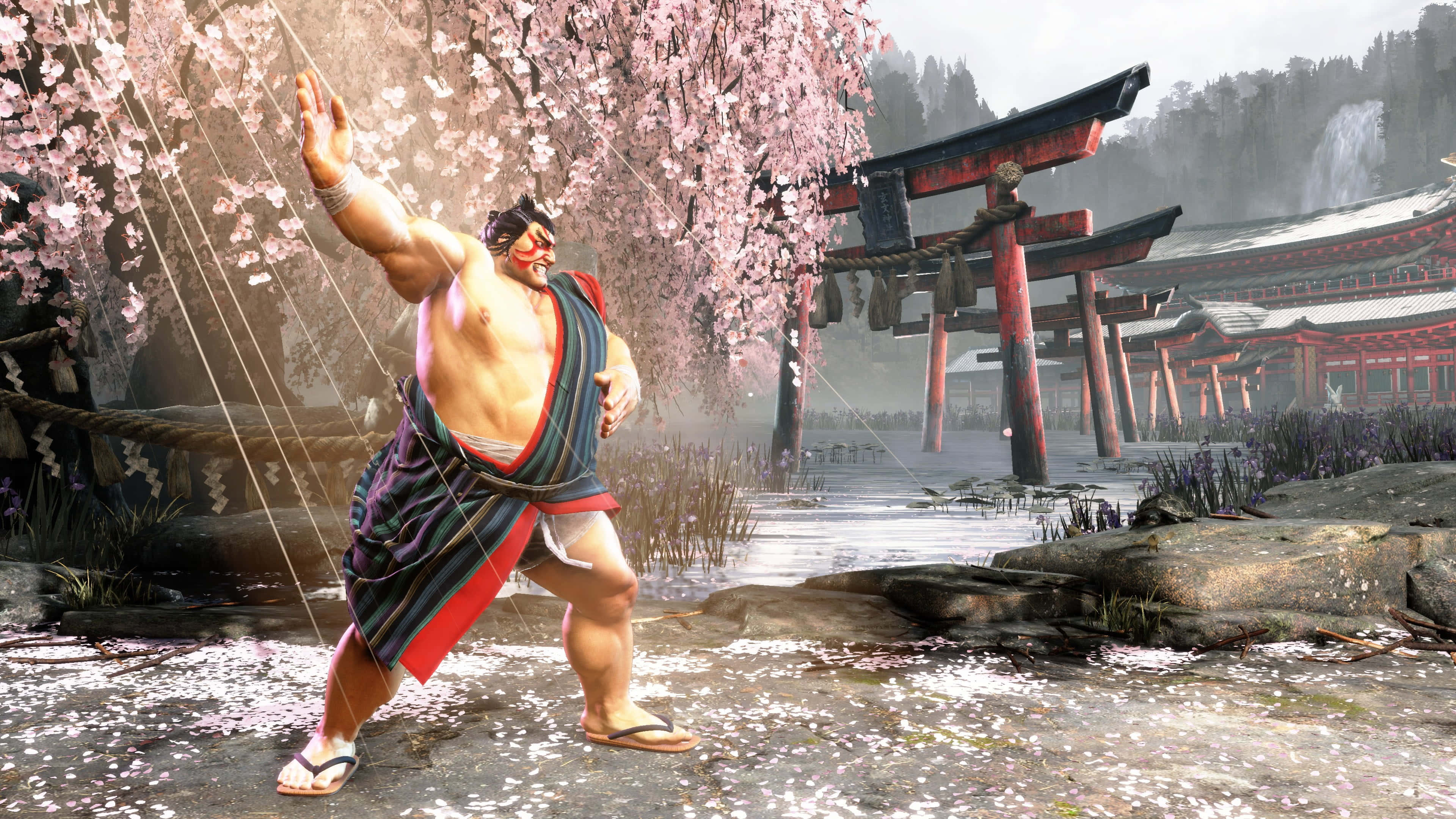 Street Fighter 6, sumo warrior, cherry blossoms, 4K Desktop Wallpaper