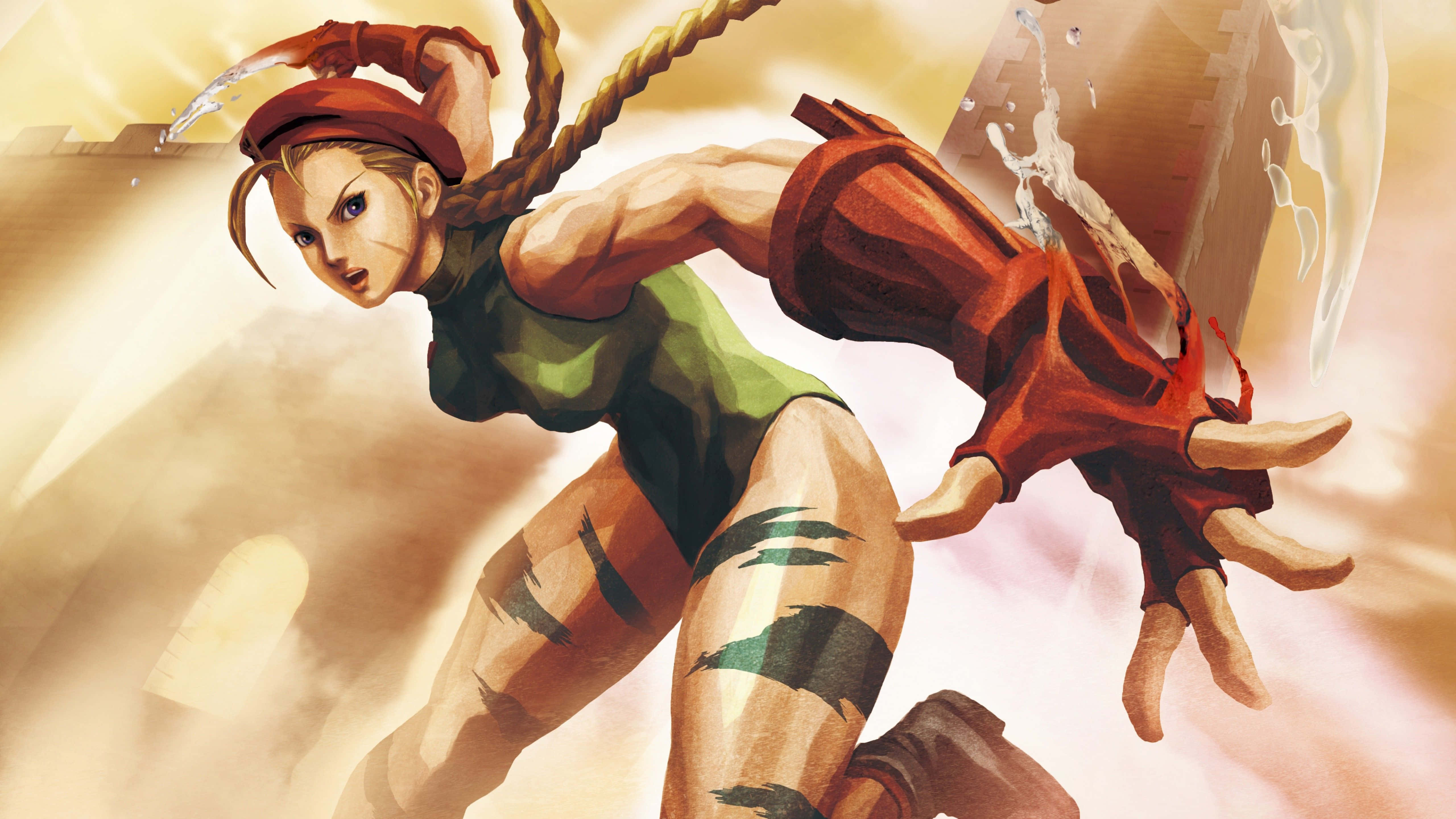 Street Fighter, Street Fighter characters, anime fighter, 5K Desktop Wallpaper