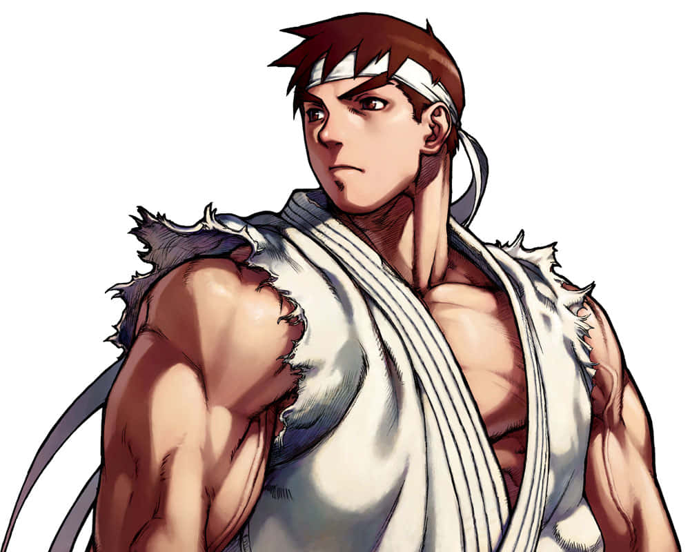 Street Fighter Alpha, anime fighter, brown hair, SD Desktop Wallpaper