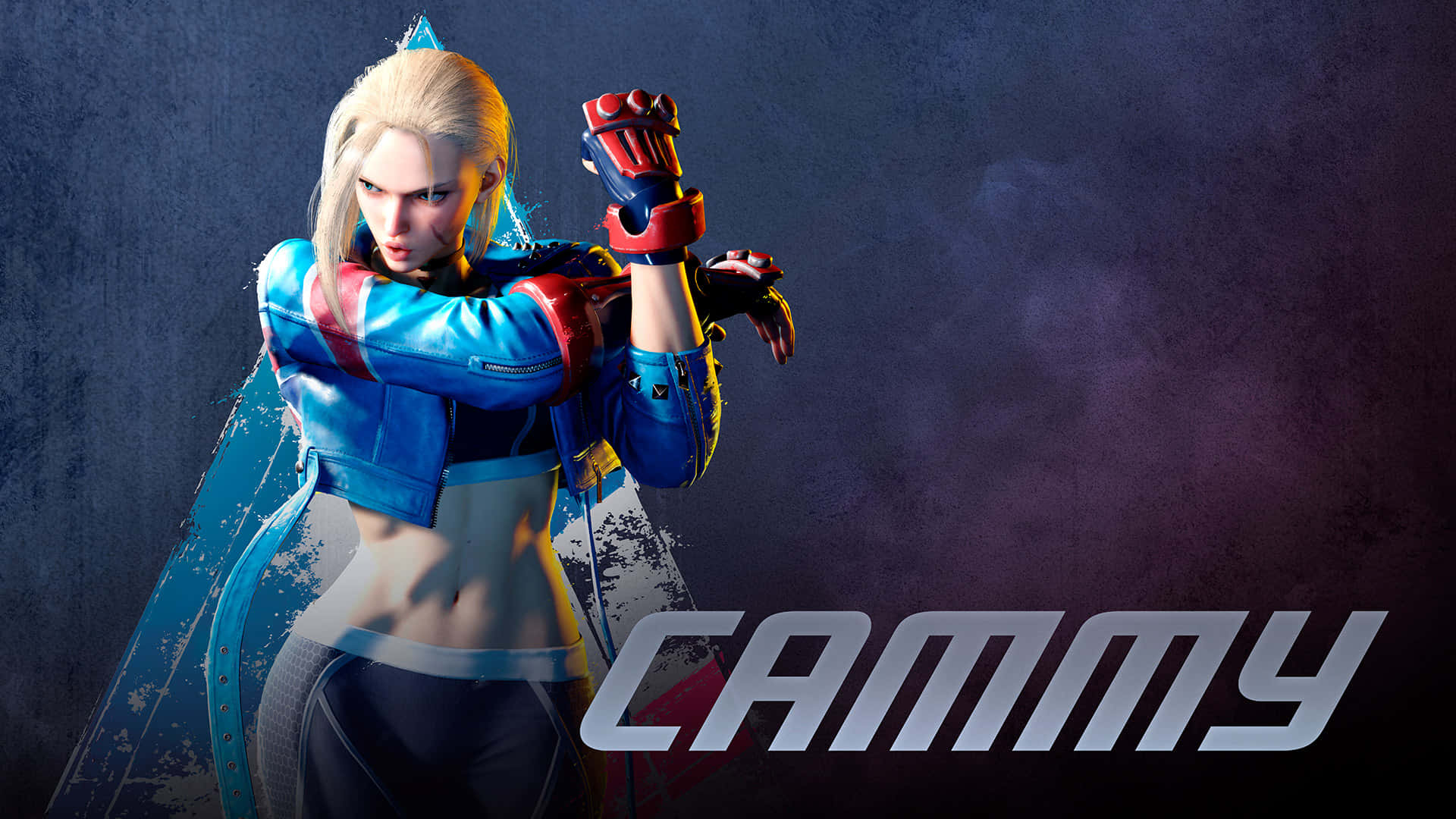 Street Fighter Characters, blonde fighter, blue and red gear, Full HD Desktop Wallpaper