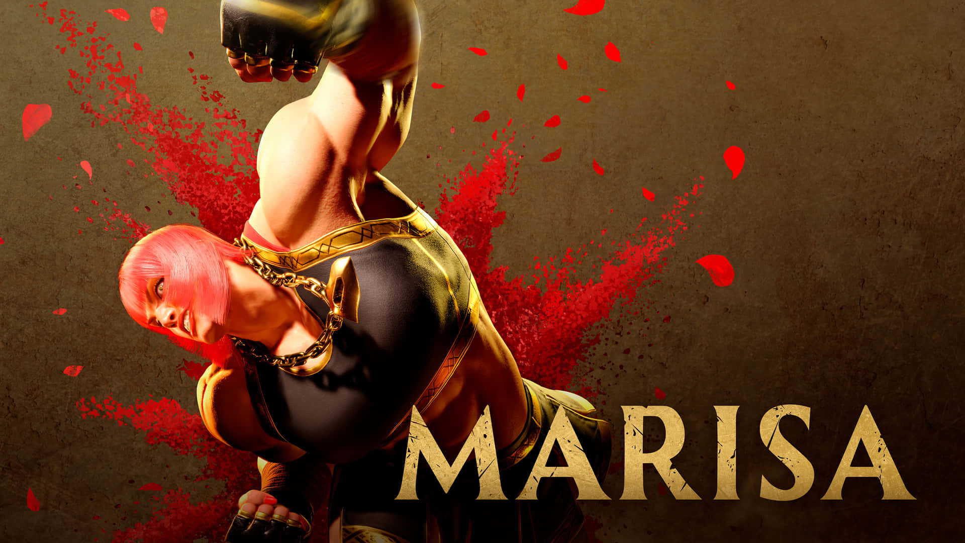 Street Fighter Characters, pink hair, gold chains, Full HD Desktop Wallpaper