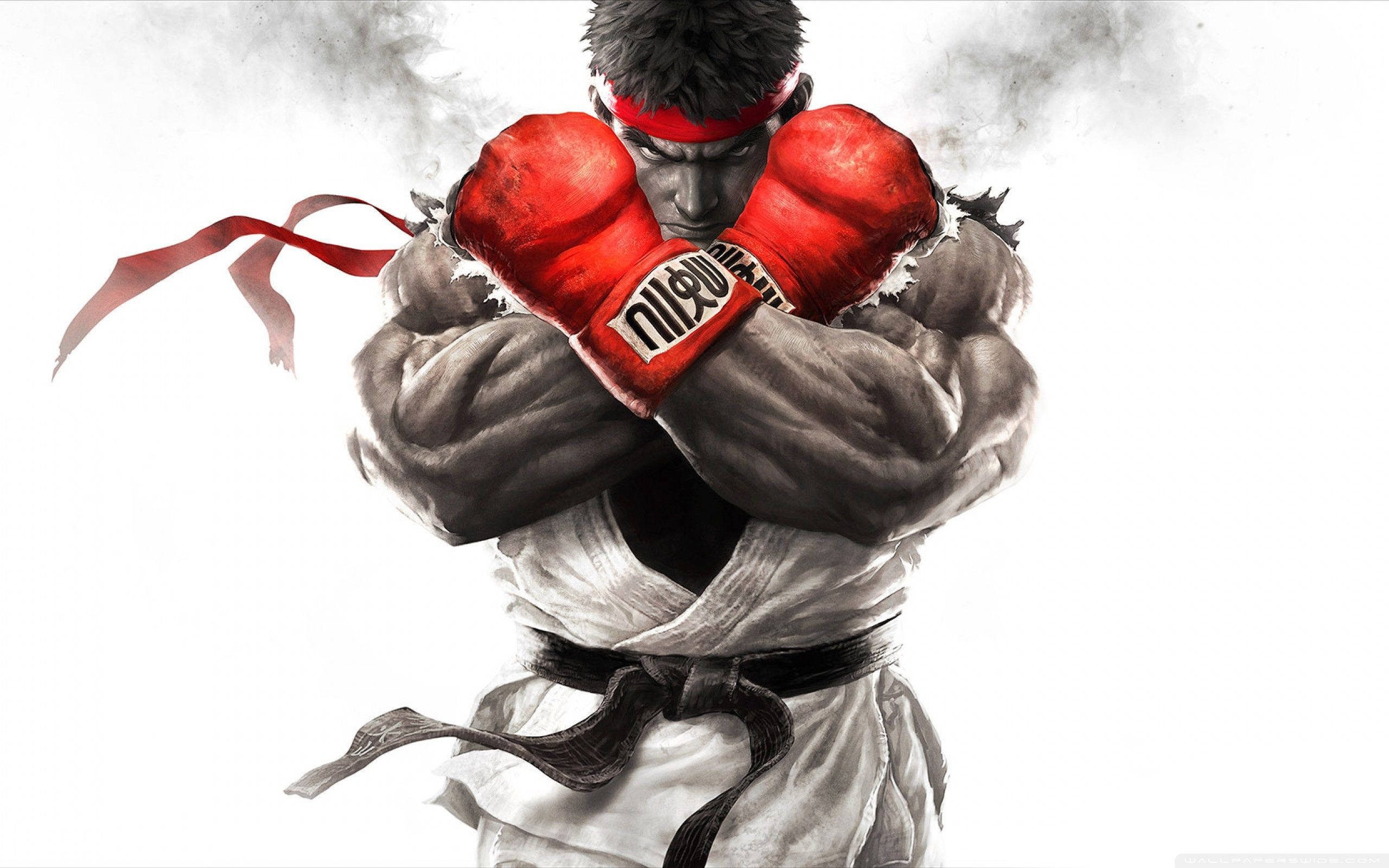 Street Fighter Ryu, red gloves, white gi, 2K Desktop Wallpaper