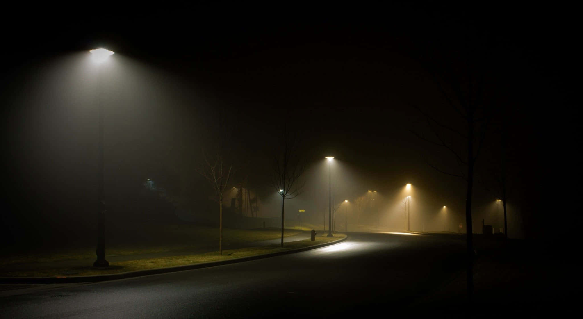 Street Light, foggy night, warm yellow streetlights, Full HD Desktop Wallpaper