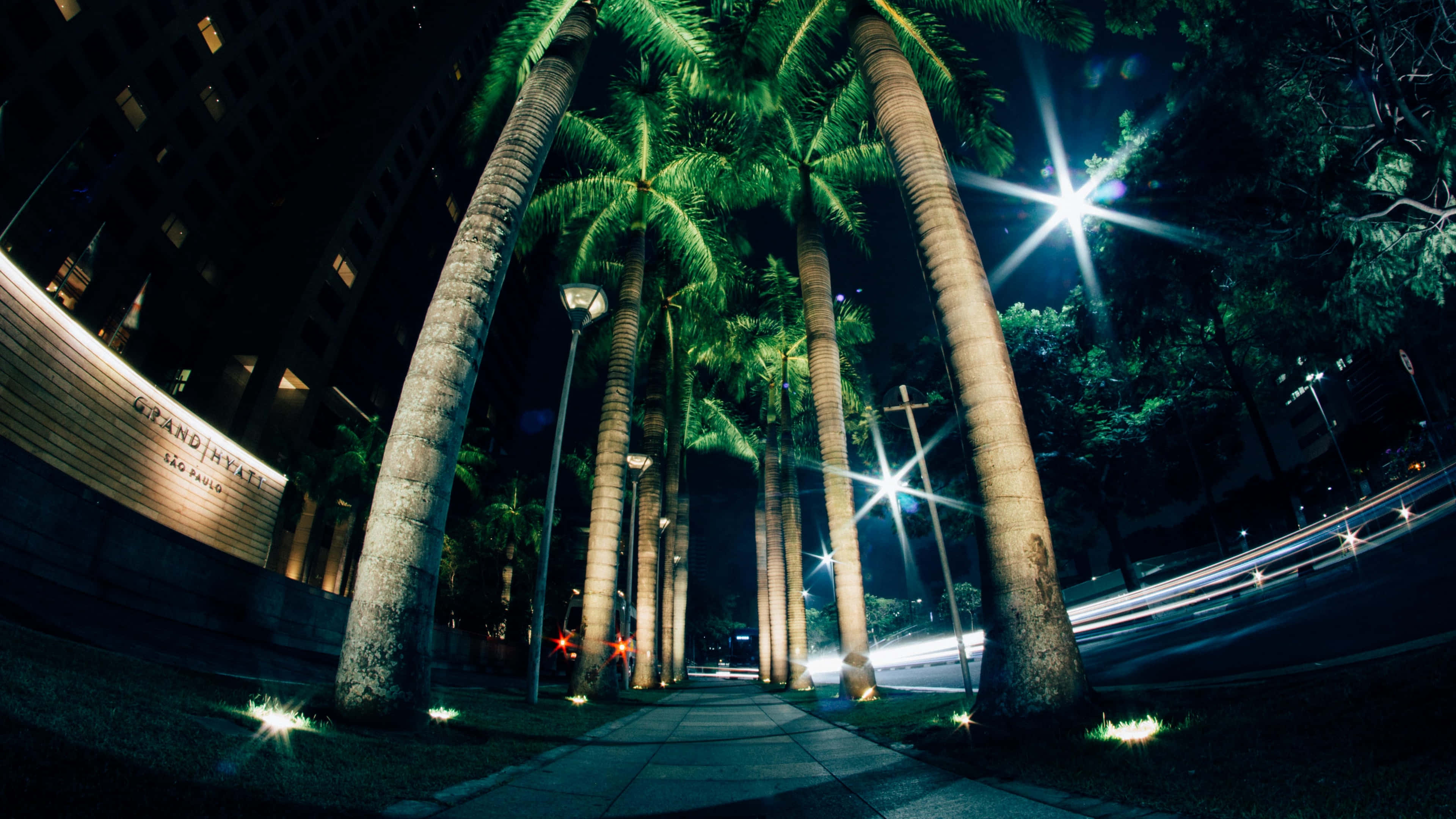 Palm Trees, city sidewalk, glowing streetlights, 4K Desktop Wallpaper