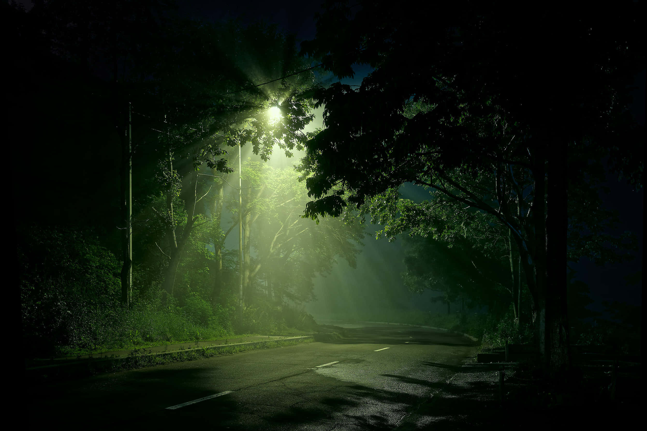 Street Light, greenish glow, misty trees, Full HD Desktop Wallpaper