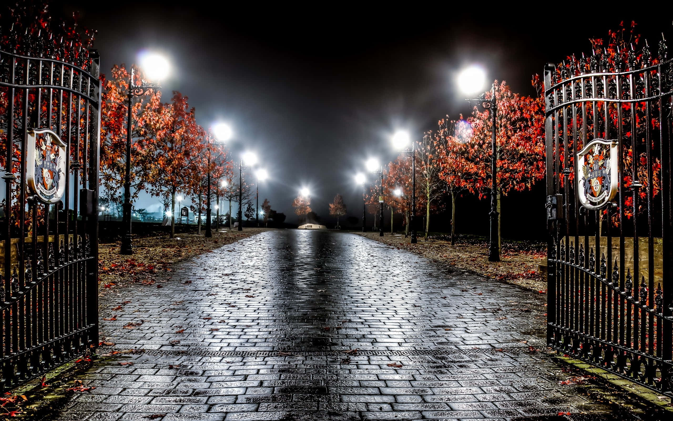 street light, dusk, wet cobblestone path, 2K Desktop Wallpaper