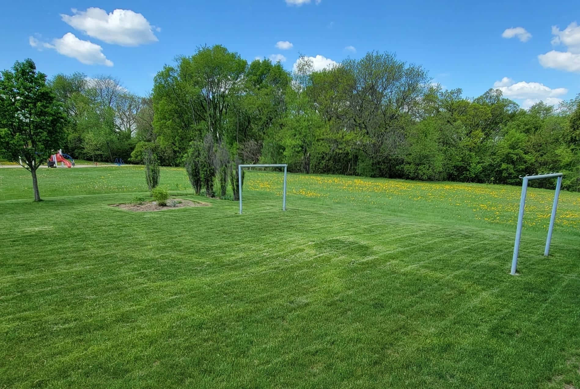 Sunny Day at Community Park Soccer Field, vibrant green soccer field, two goals, HD Desktop Wallpaper