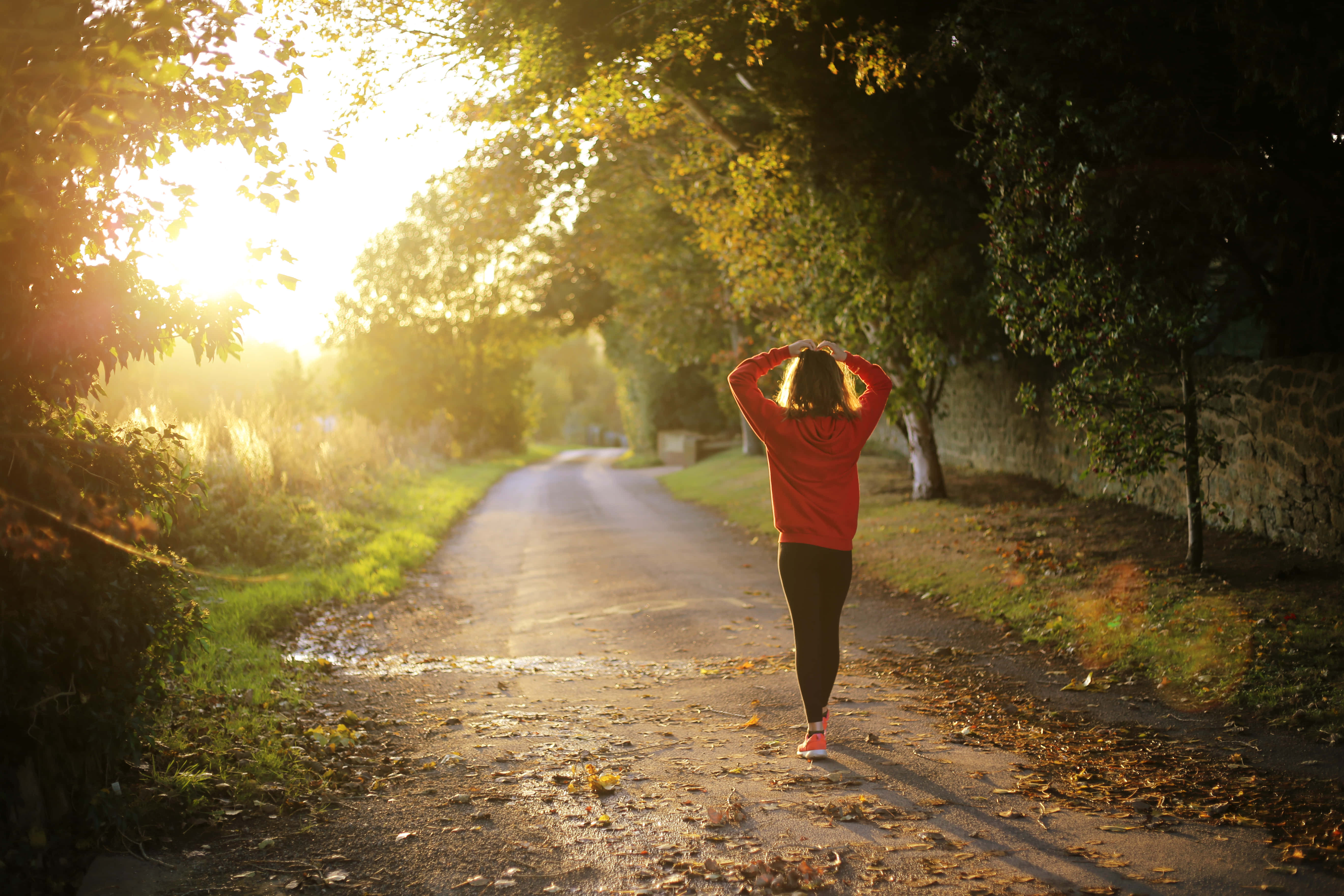 red hoodie, leaf-strewn path, golden sunlight, 5K Desktop Wallpaper
