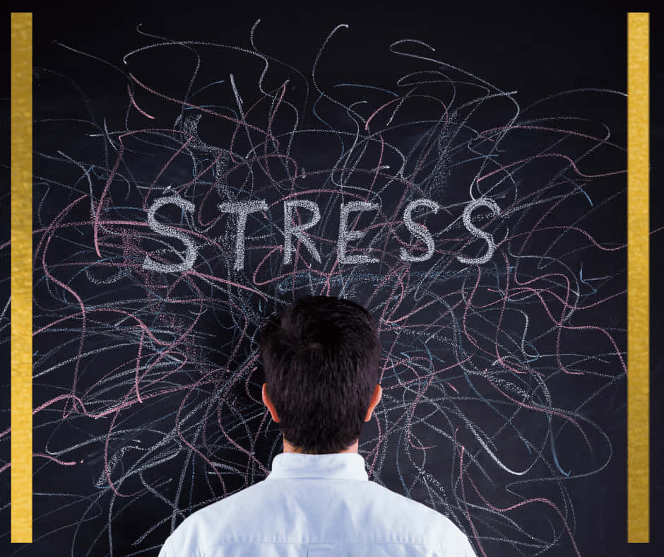 chalkboard, STRESS, white shirt, SD Desktop Wallpaper