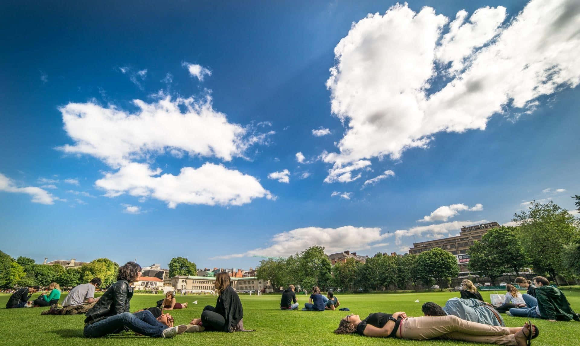 campus lawn, vibrant green lawn, vast blue sky, Full HD Desktop Wallpaper