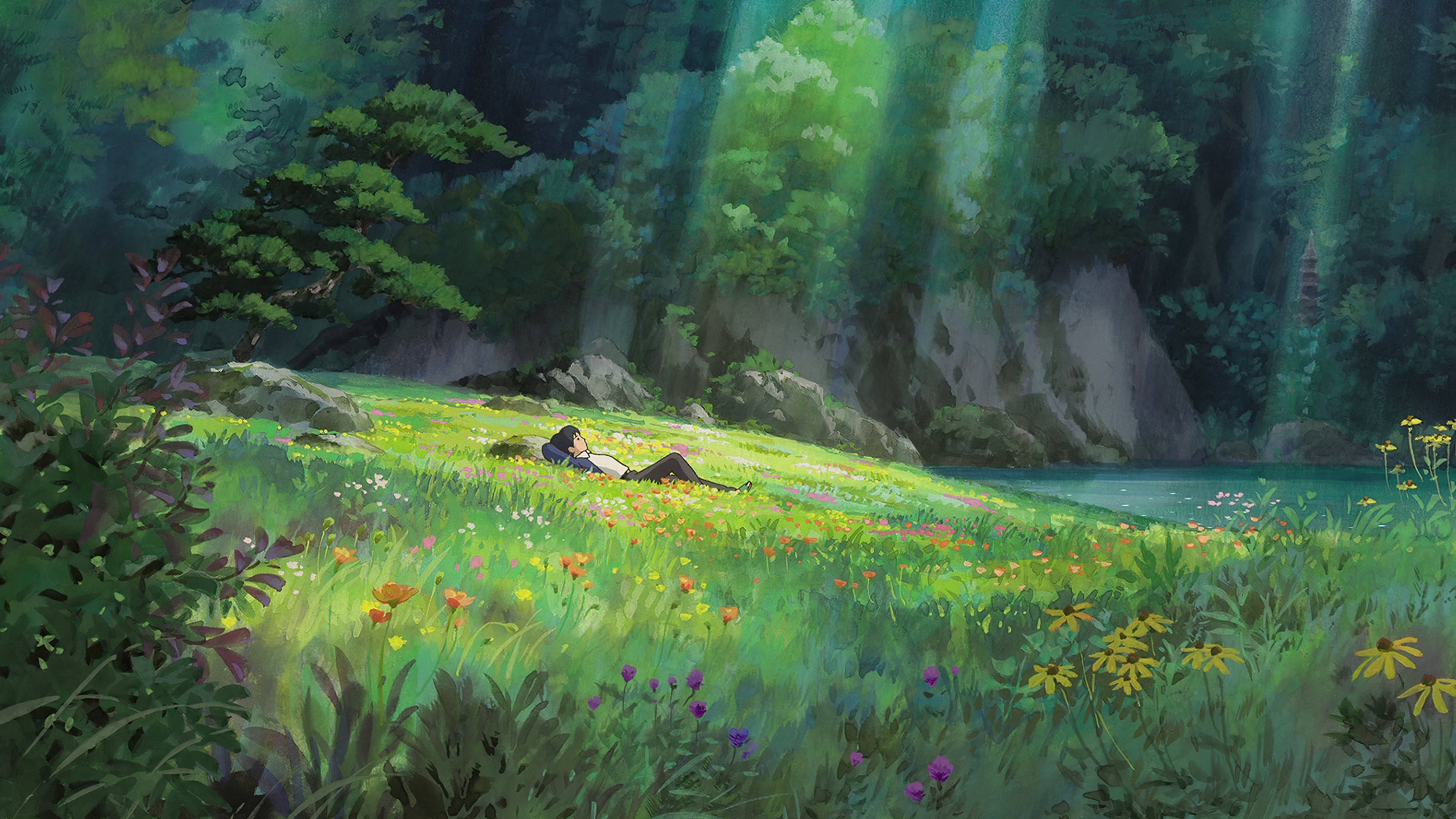 boy, sunlit meadow, wildflowers, 4K Desktop Wallpaper