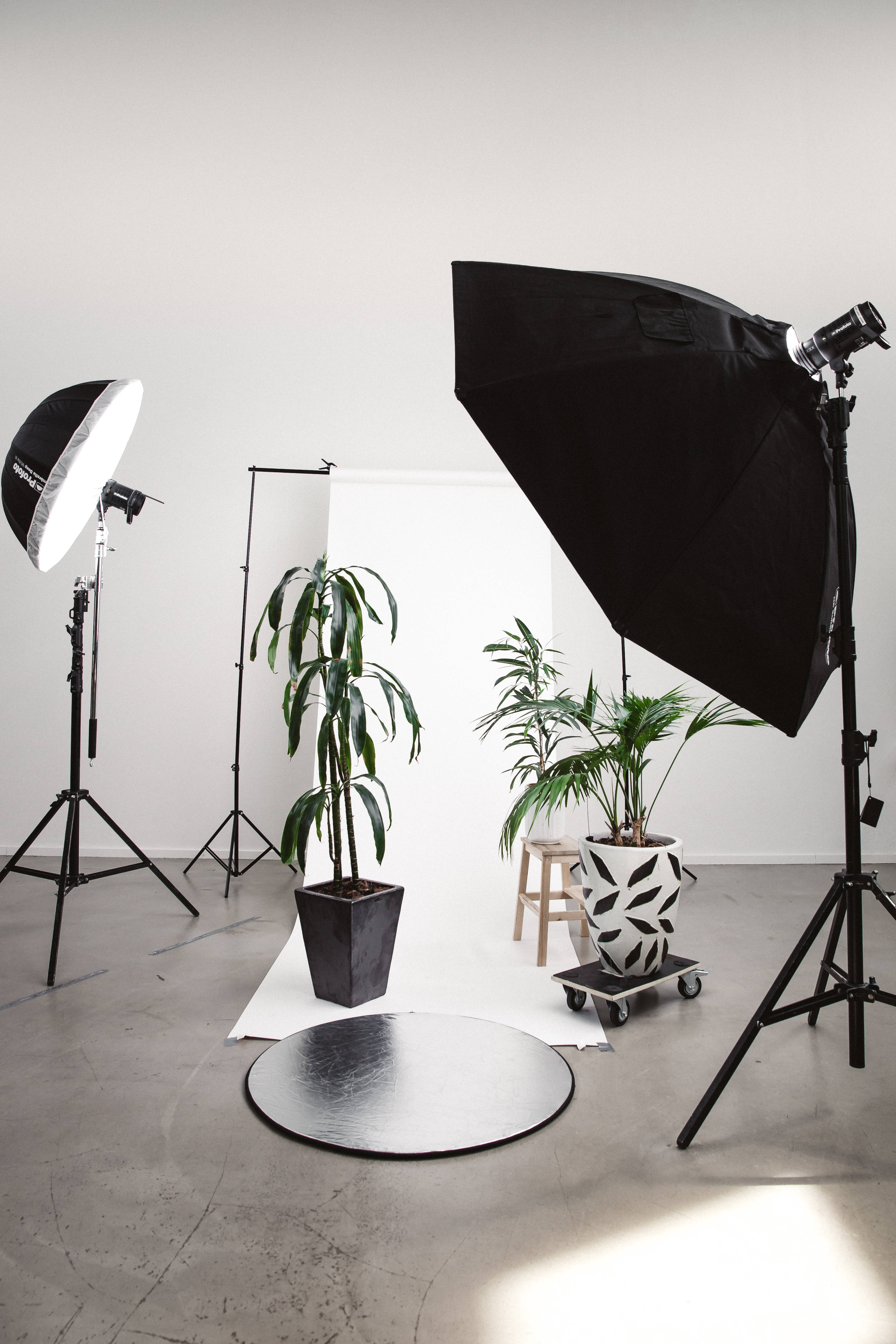 black and white lighting equipment, potted plants, reflective silver floor mat, 5K Phone Wallpaper