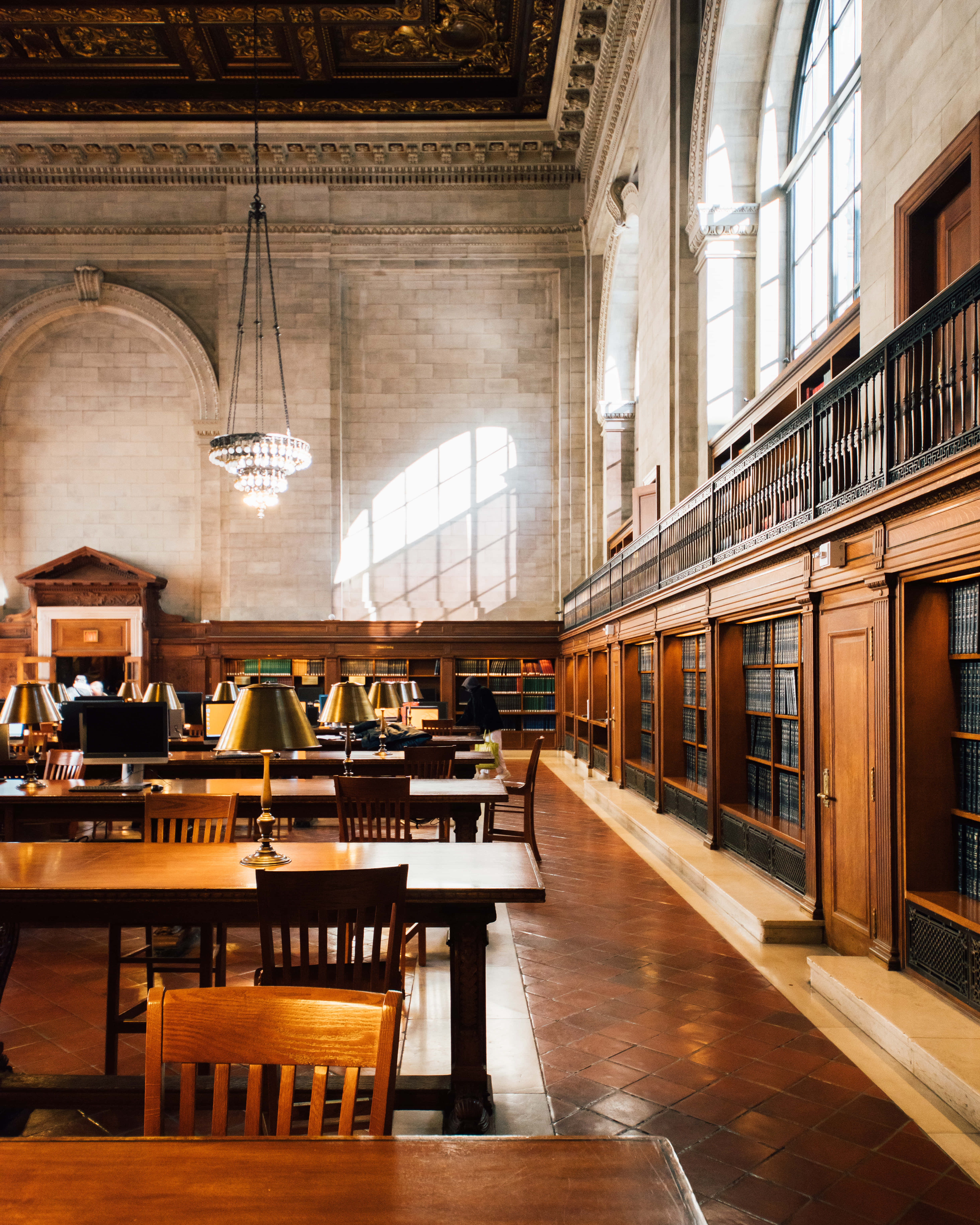 Studious, library, sunlight, 5K Phone Wallpaper