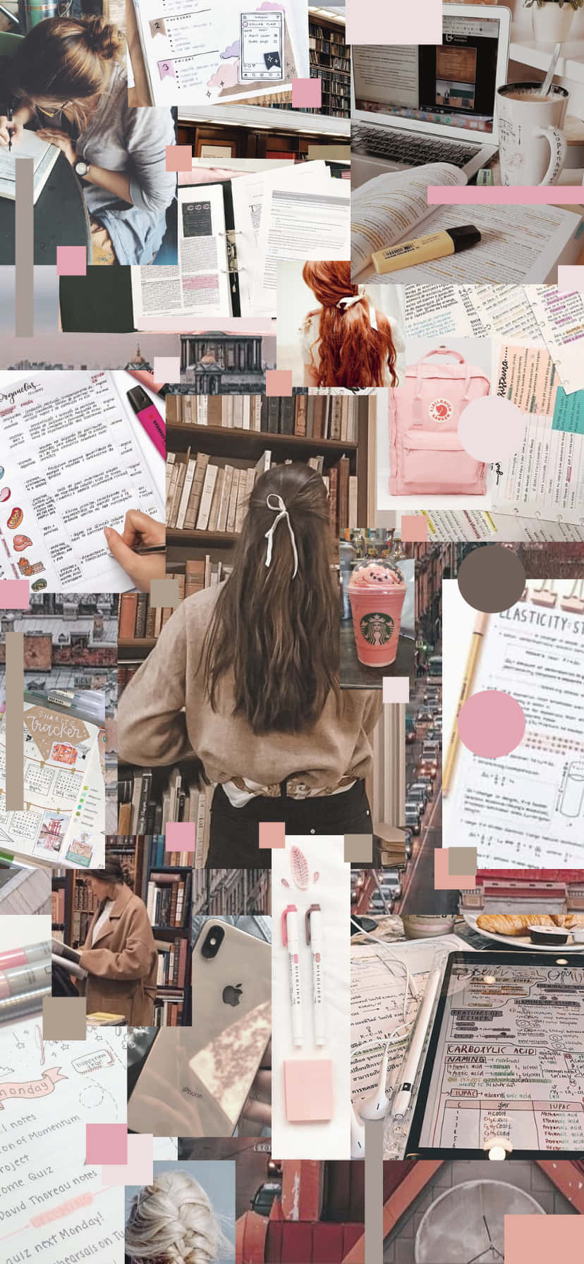 Studious Women Collage, books, study notes, HD Phone Wallpaper