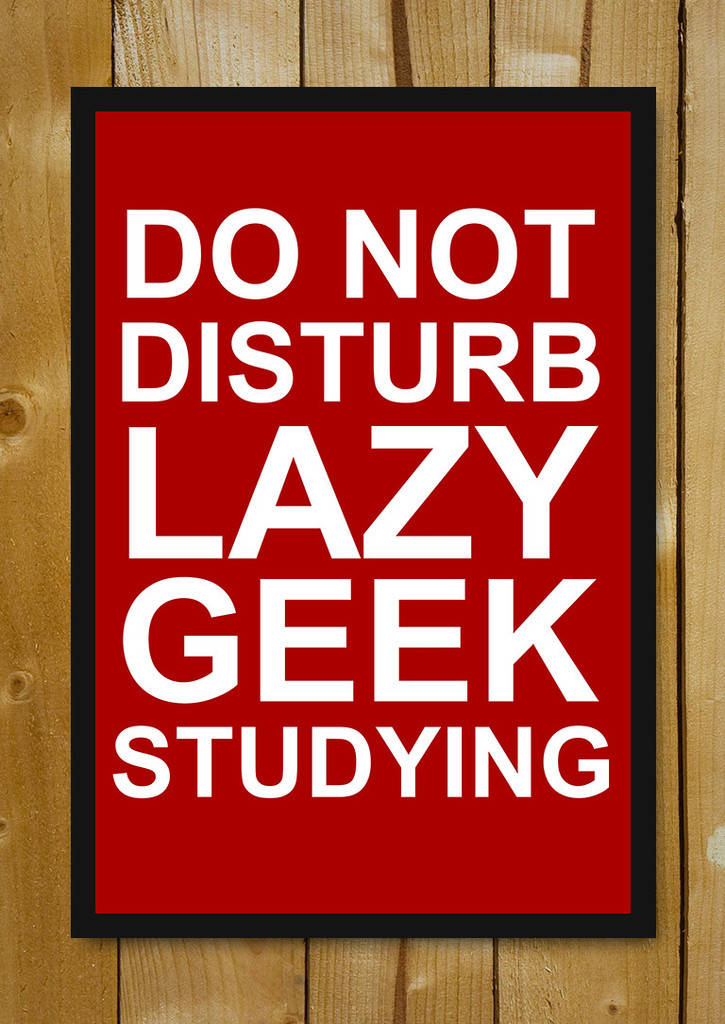DO NOT DISTURB LAZY GEEK STUDYING, red framed sign, white text, SD Phone Wallpaper