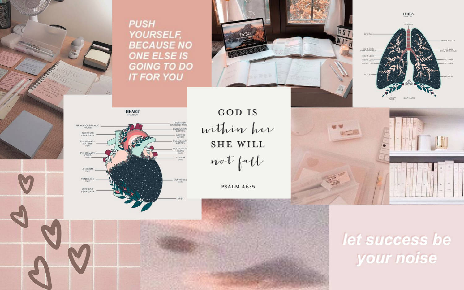 baby pink, motivational quotes, anatomy illustrations, HD Desktop Wallpaper