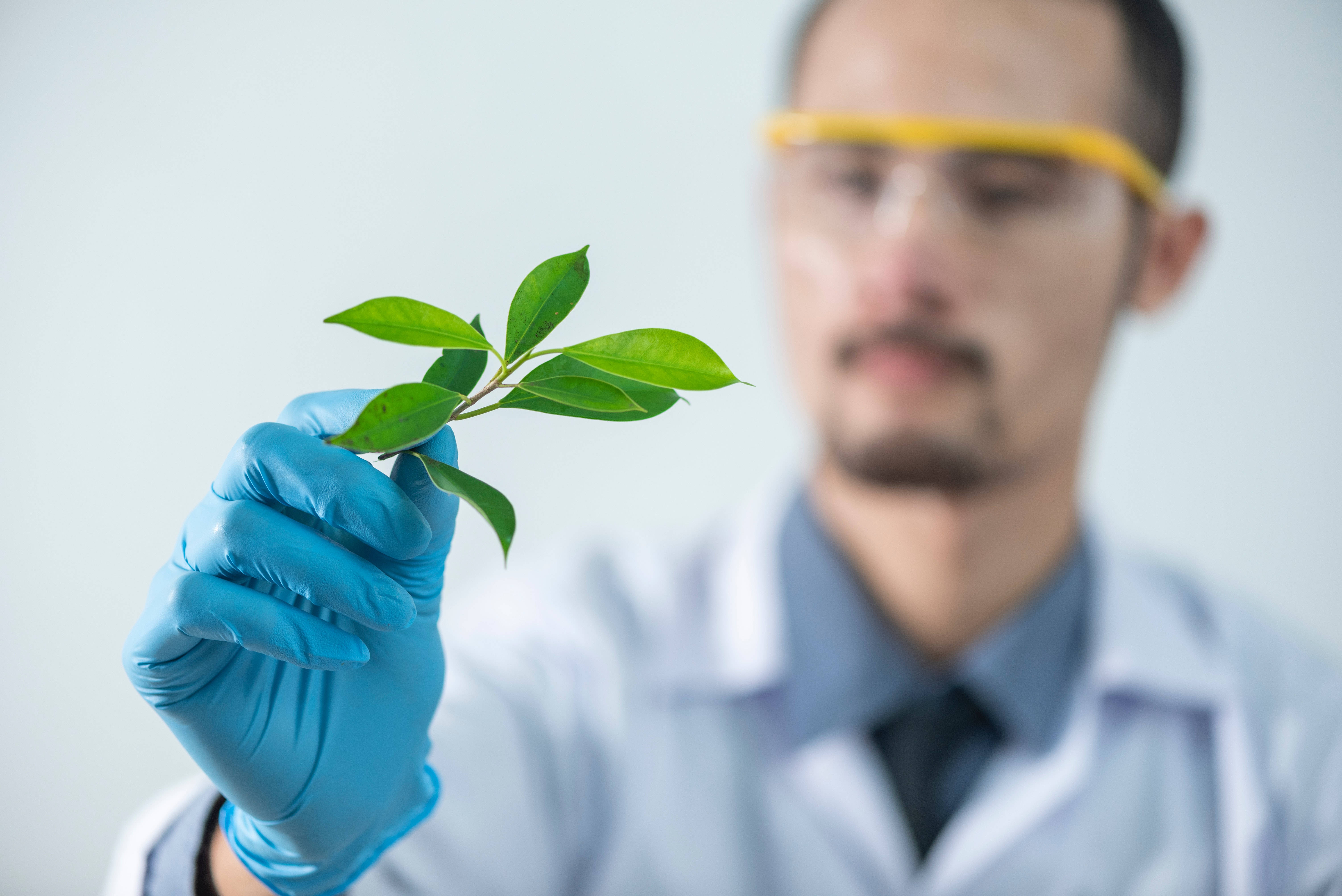 study motivation, botany, lab coat, 5K Desktop Wallpaper